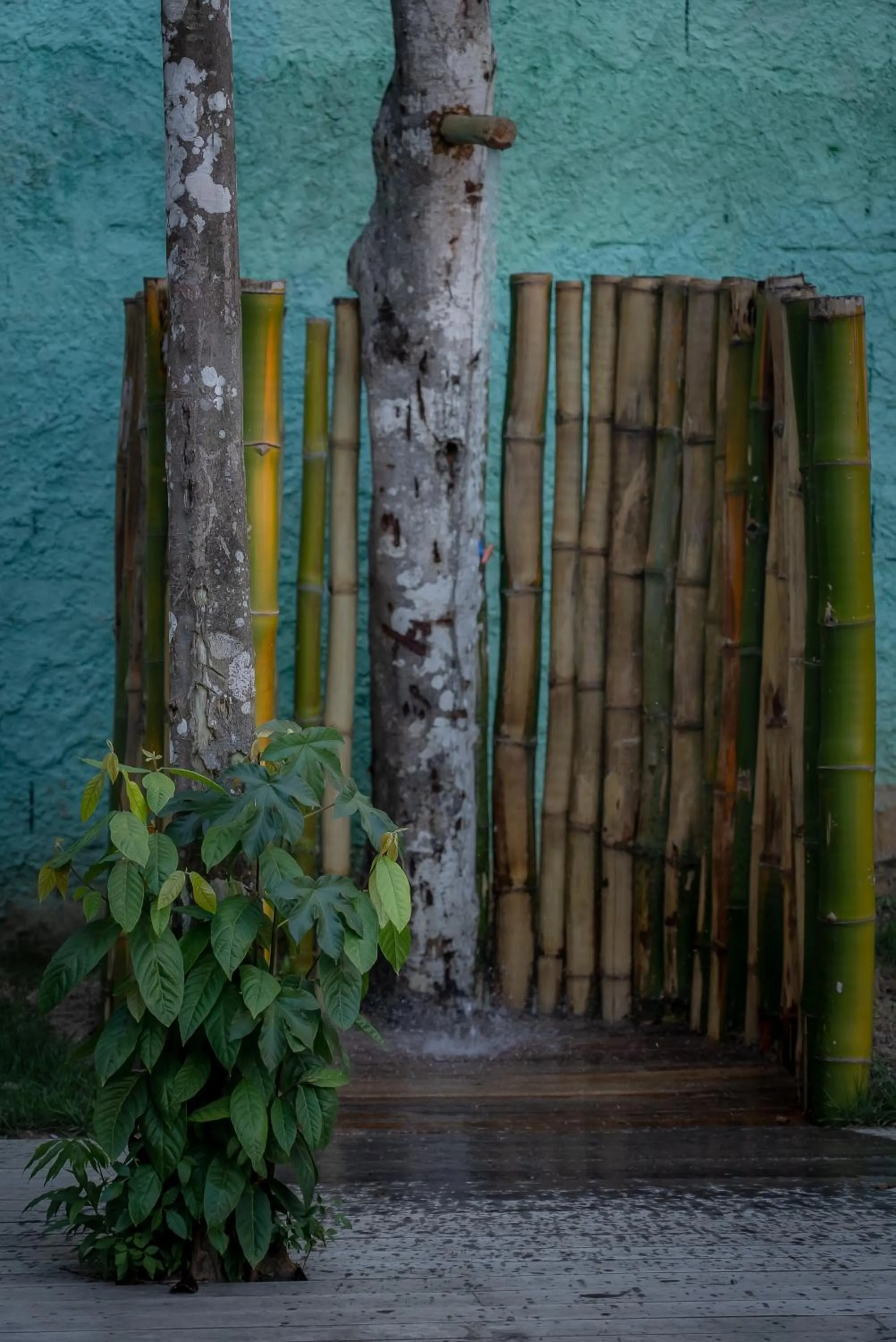 Shower in Villa Mediterrâneo Trancoso
