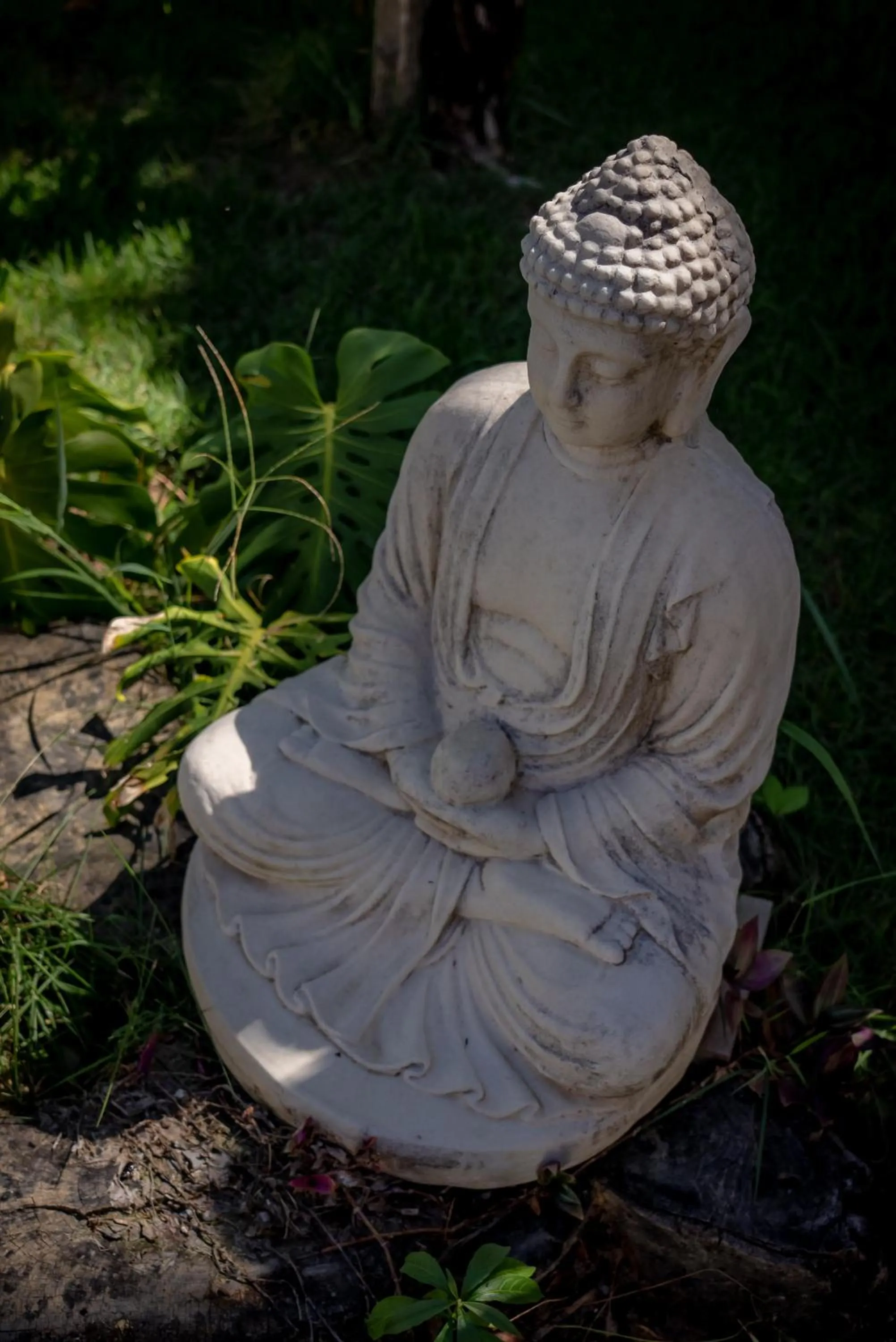 Natural landscape in Villa Mediterrâneo Trancoso