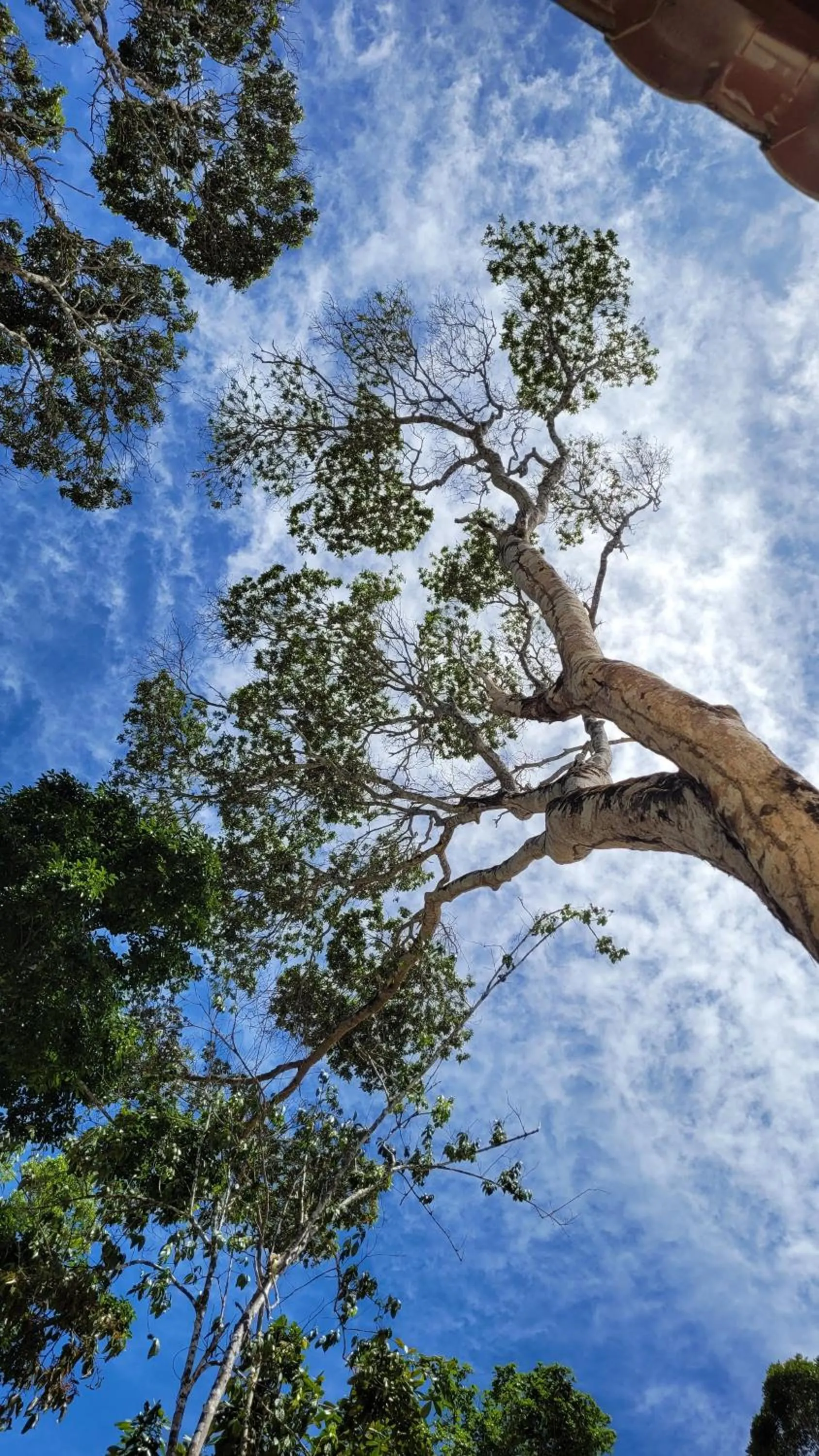 Day in Villa Mediterrâneo Trancoso