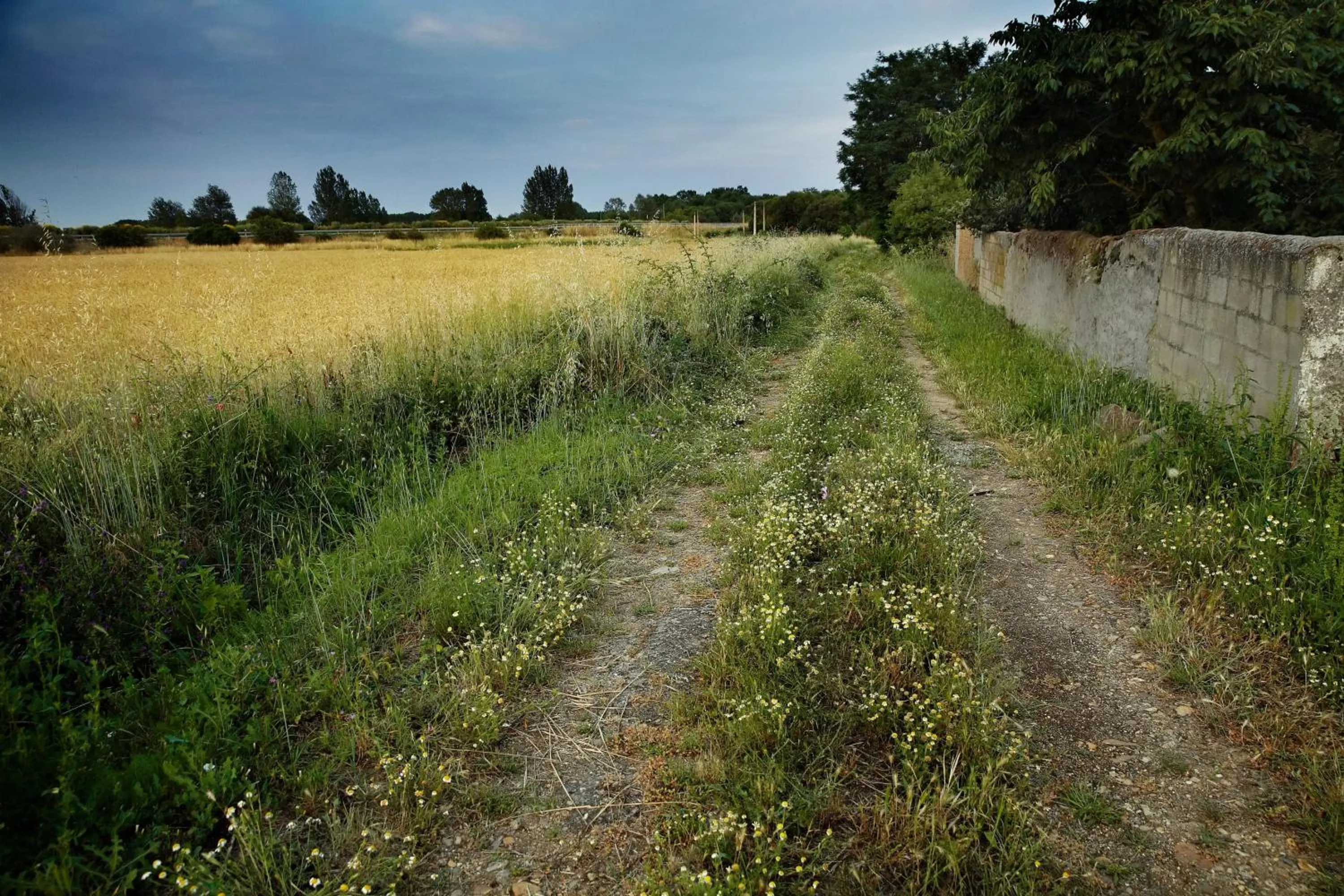 Señorío de Los Bazán