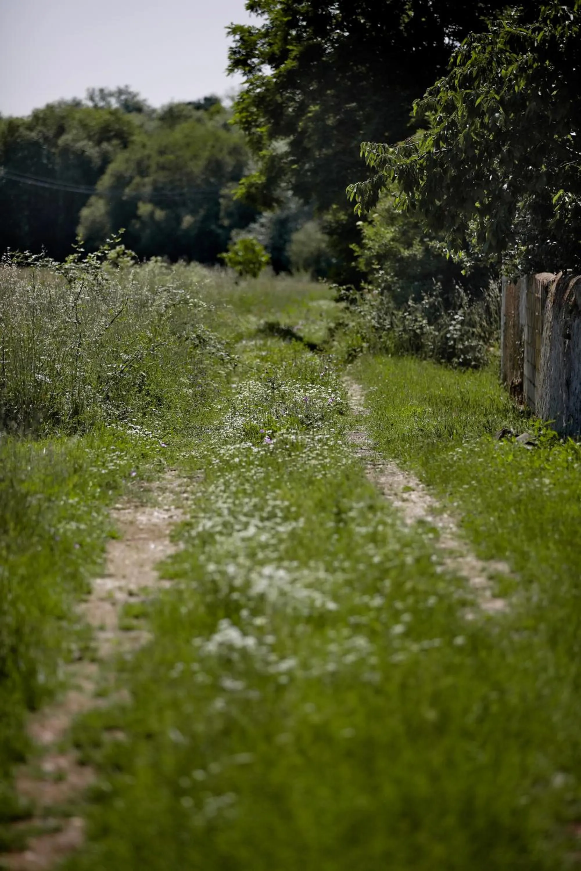 Señorío de Los Bazán