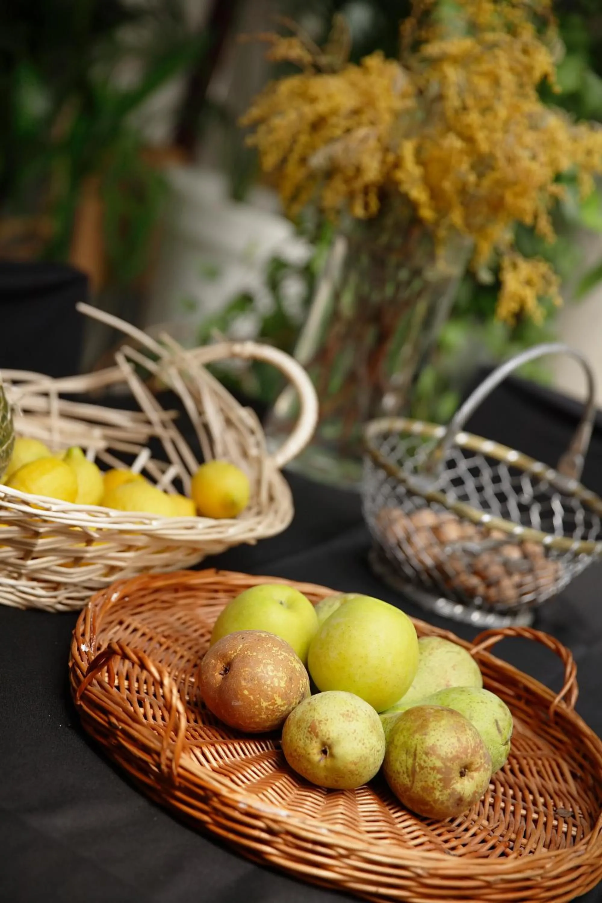 Señorío de Los Bazán