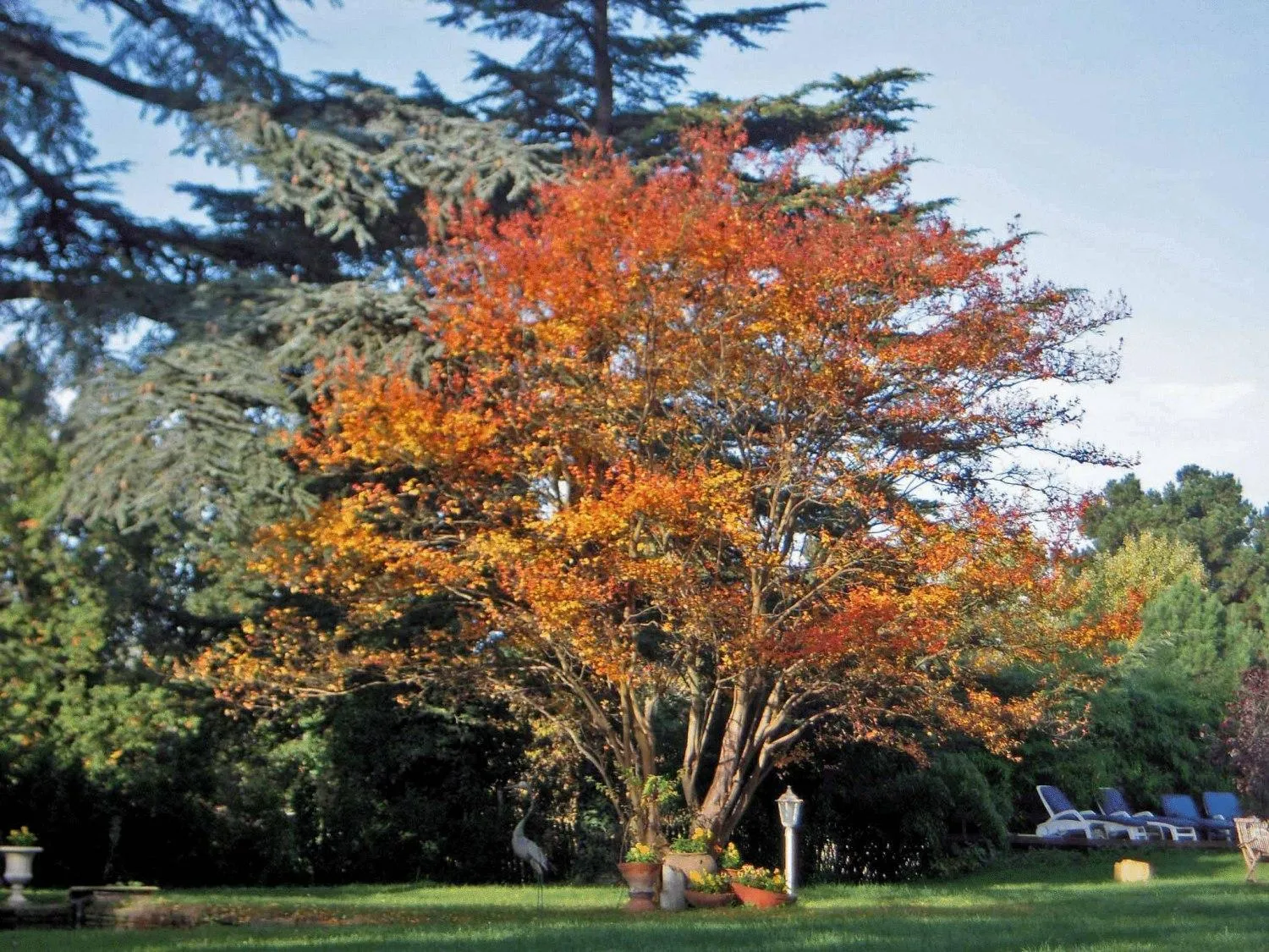 Natural landscape in Hotel Torre Marti