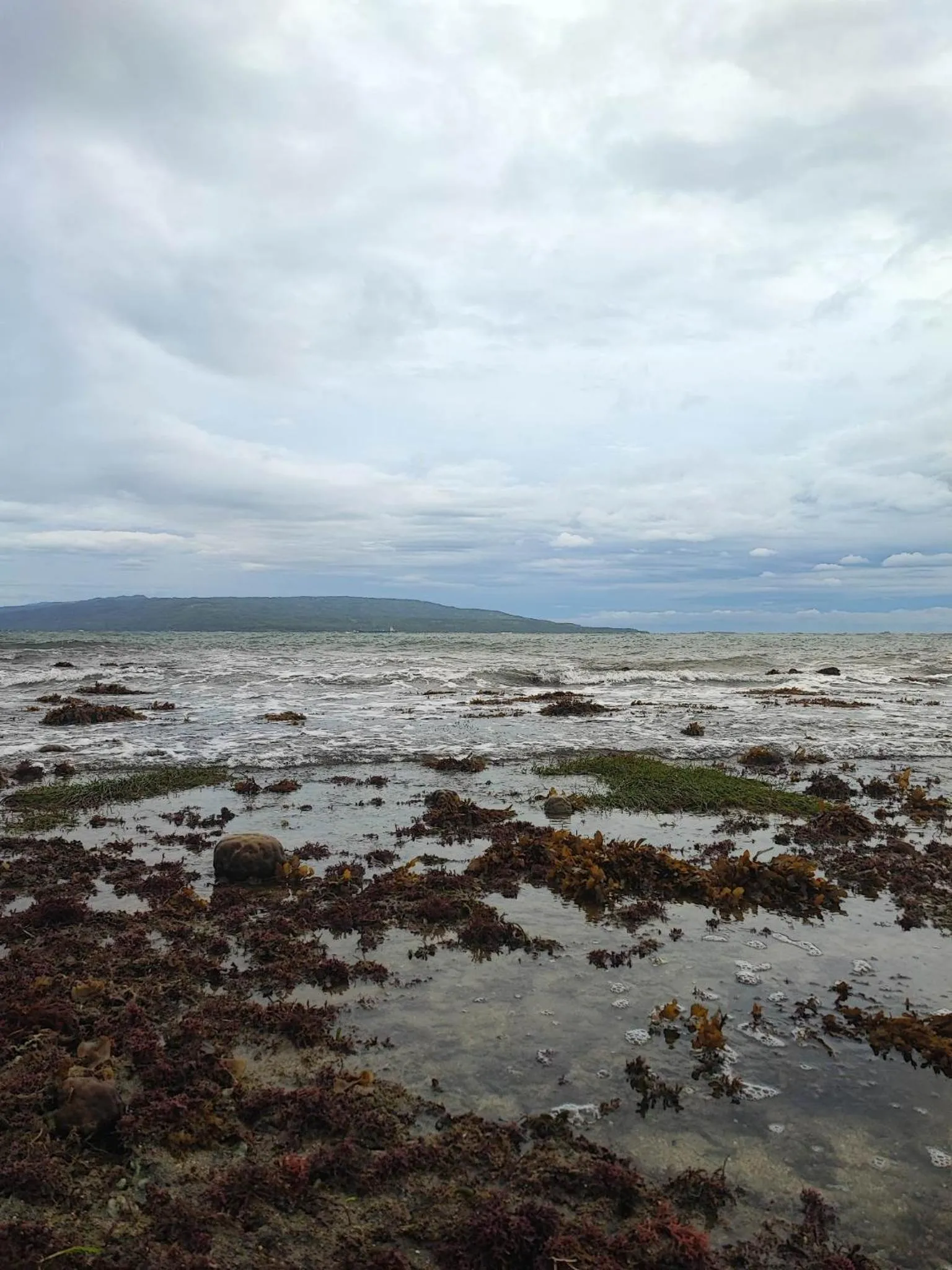 Beach in Sea Forest Resort