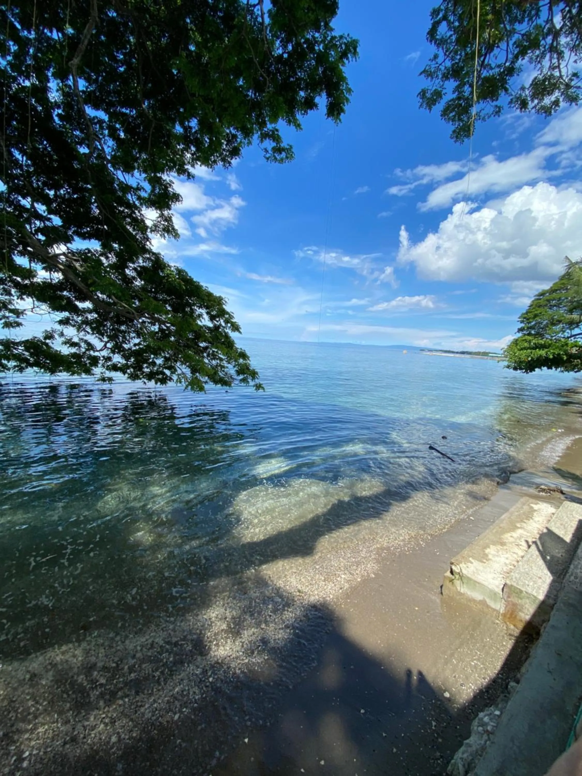 Beach in Sea Forest Resort