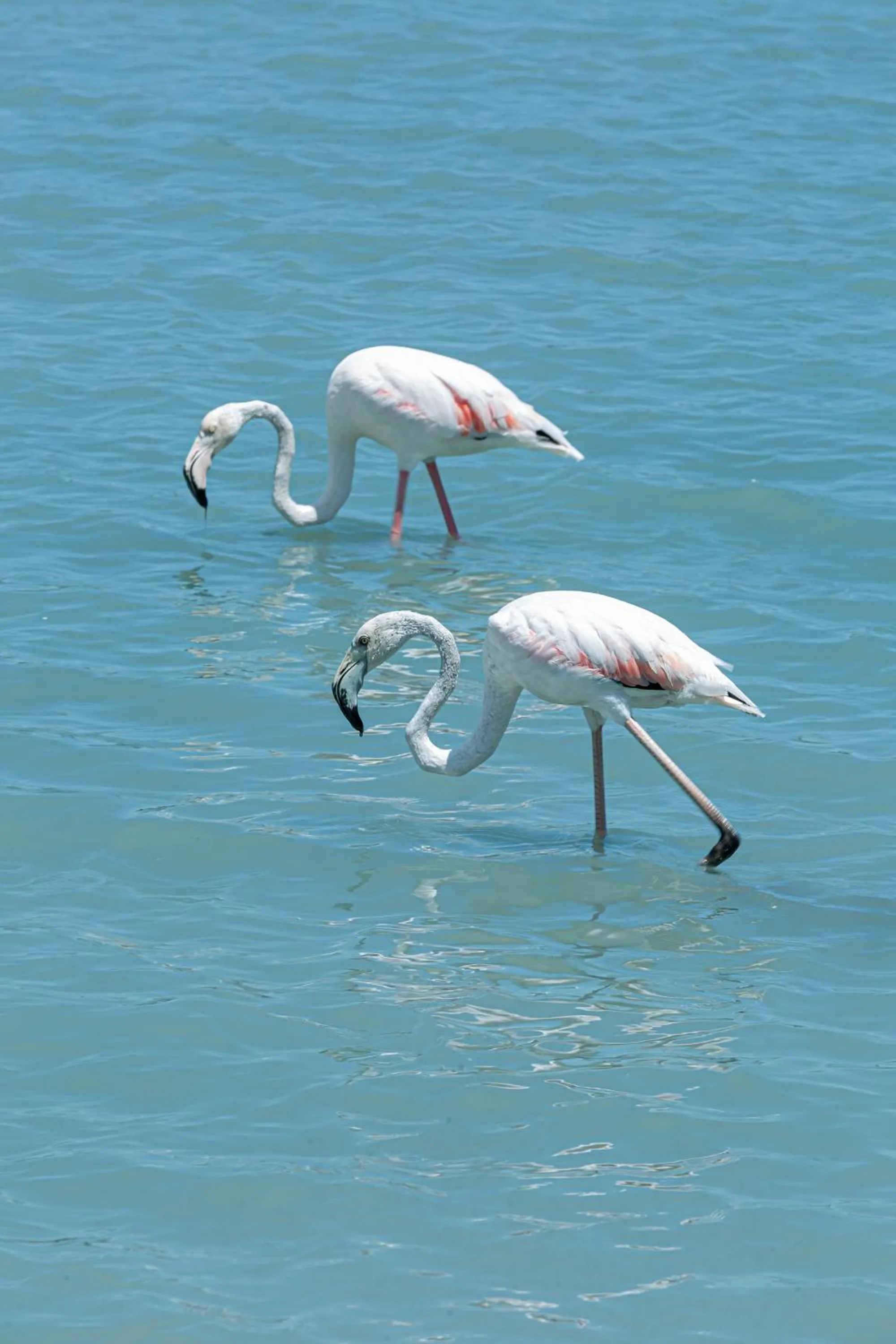 Nearby landmark in AR Roca Esmeralda & SPA Hotel