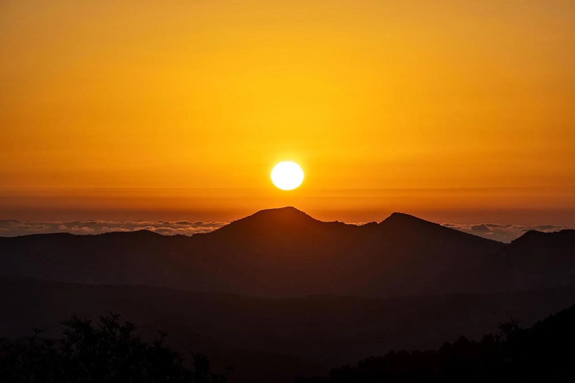 Natural landscape in Hotel Alahuar