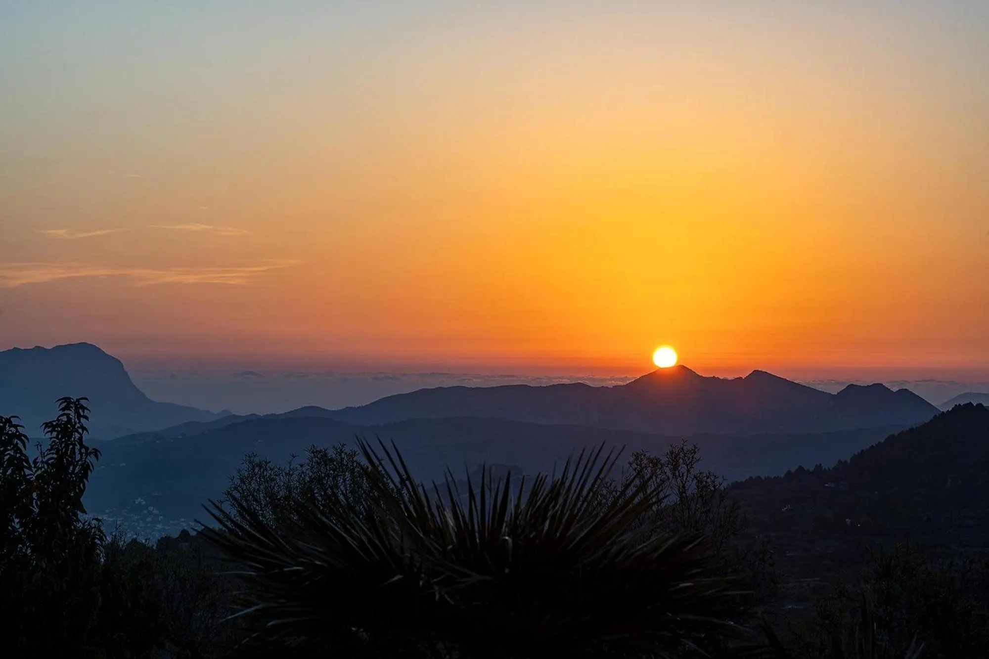 Natural landscape in Hotel Alahuar