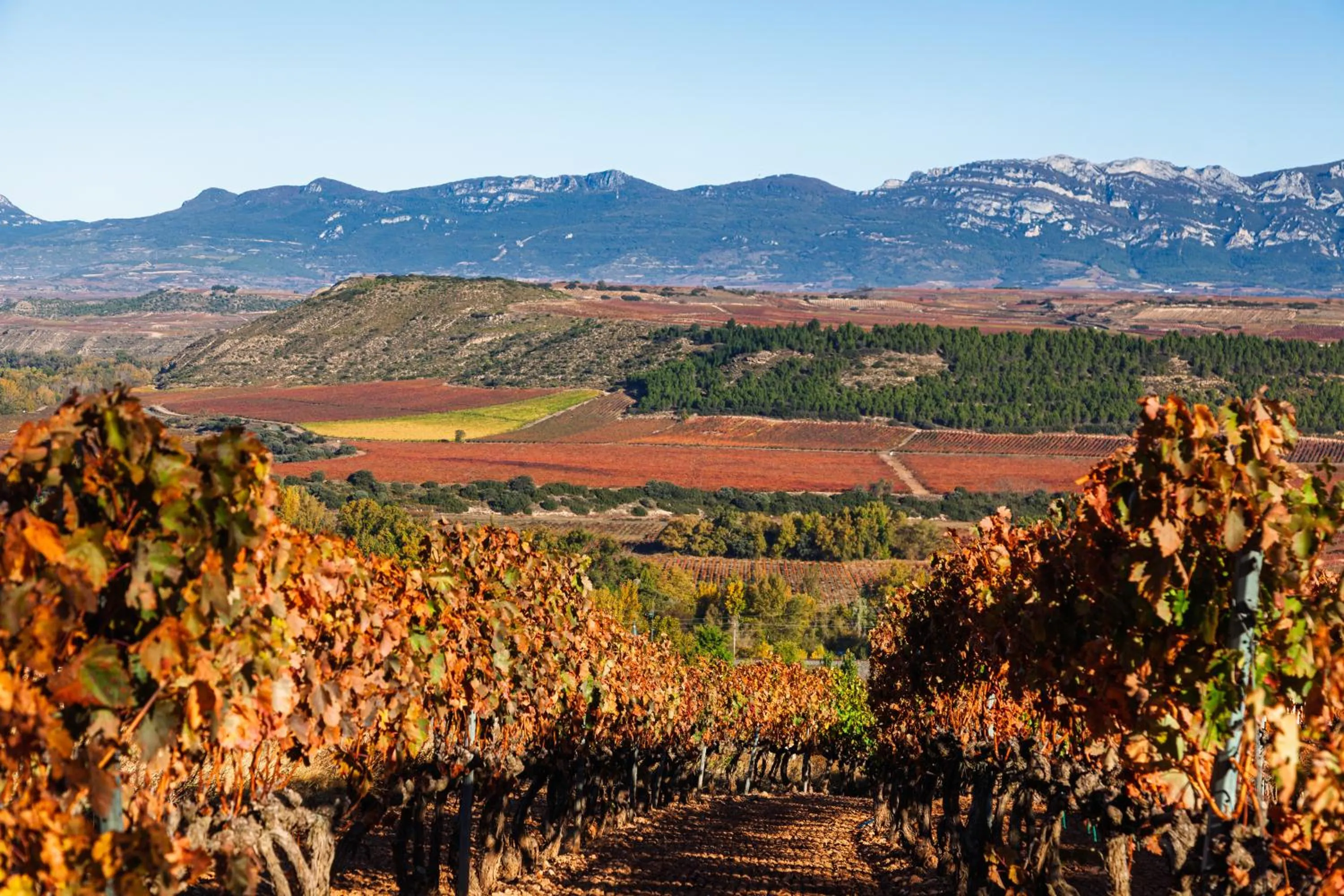 Nearby landmark in DWO Rioja Wine Hotel