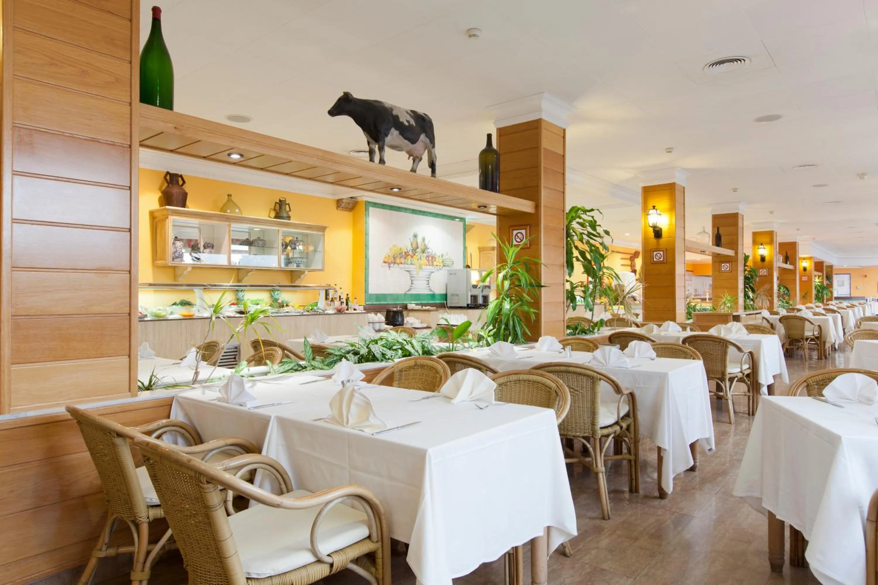 Restaurant/places to eat in Mirador del Cabo Designed For Adults