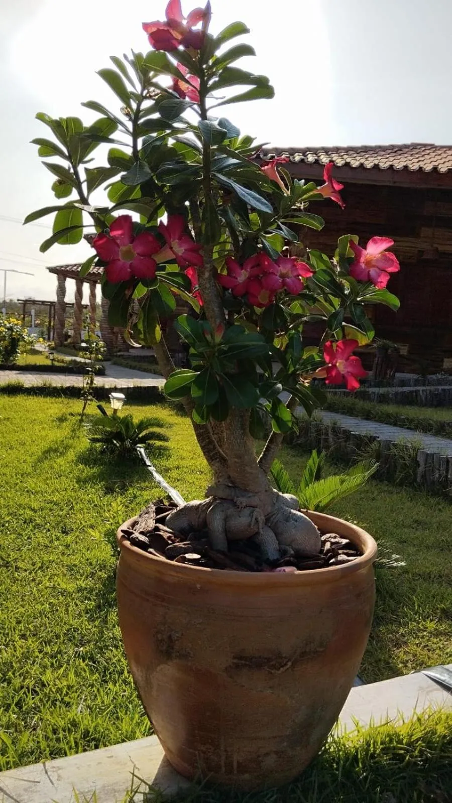 Day in Chalés Passagem do Canto