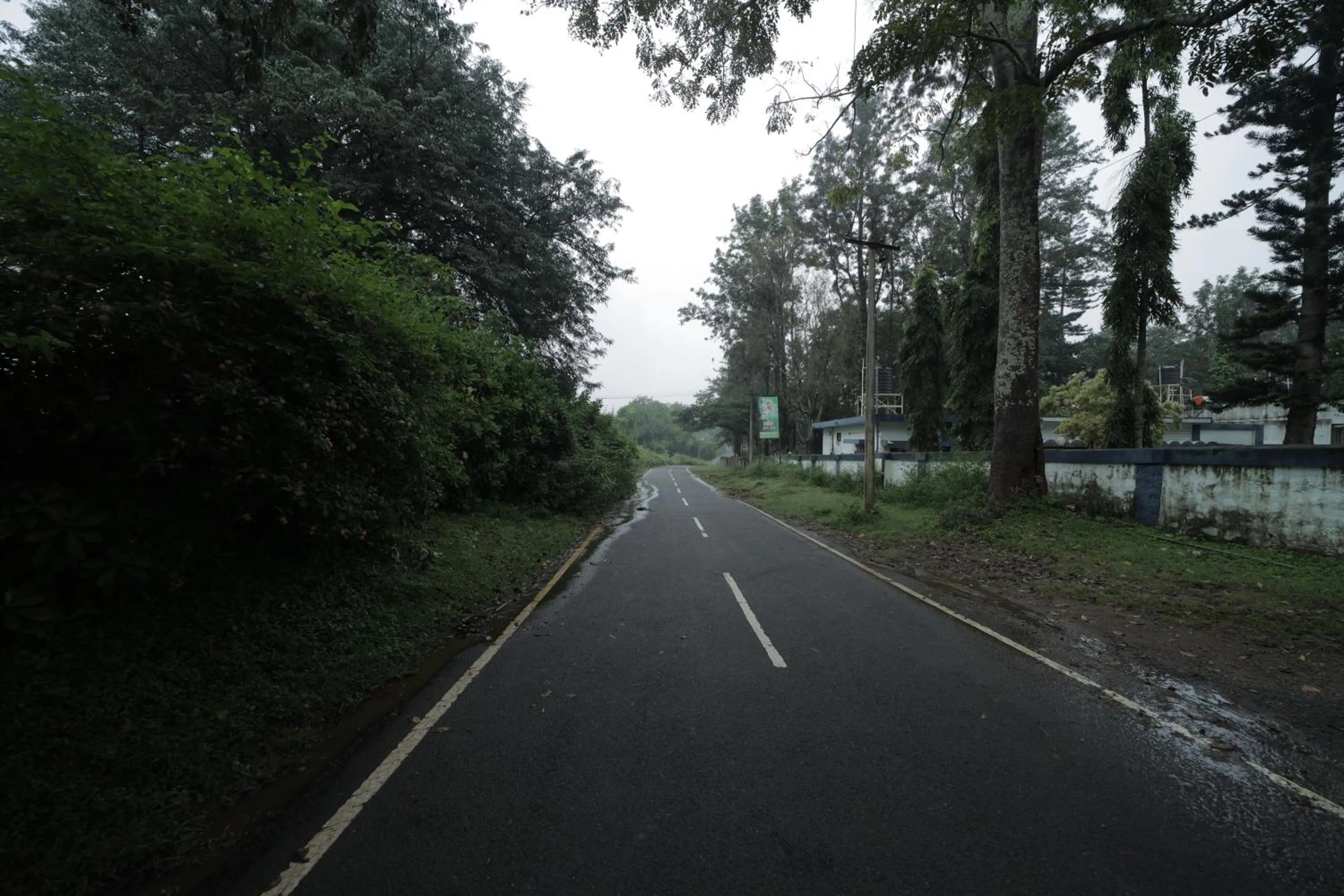Natural landscape in Green Park Resort