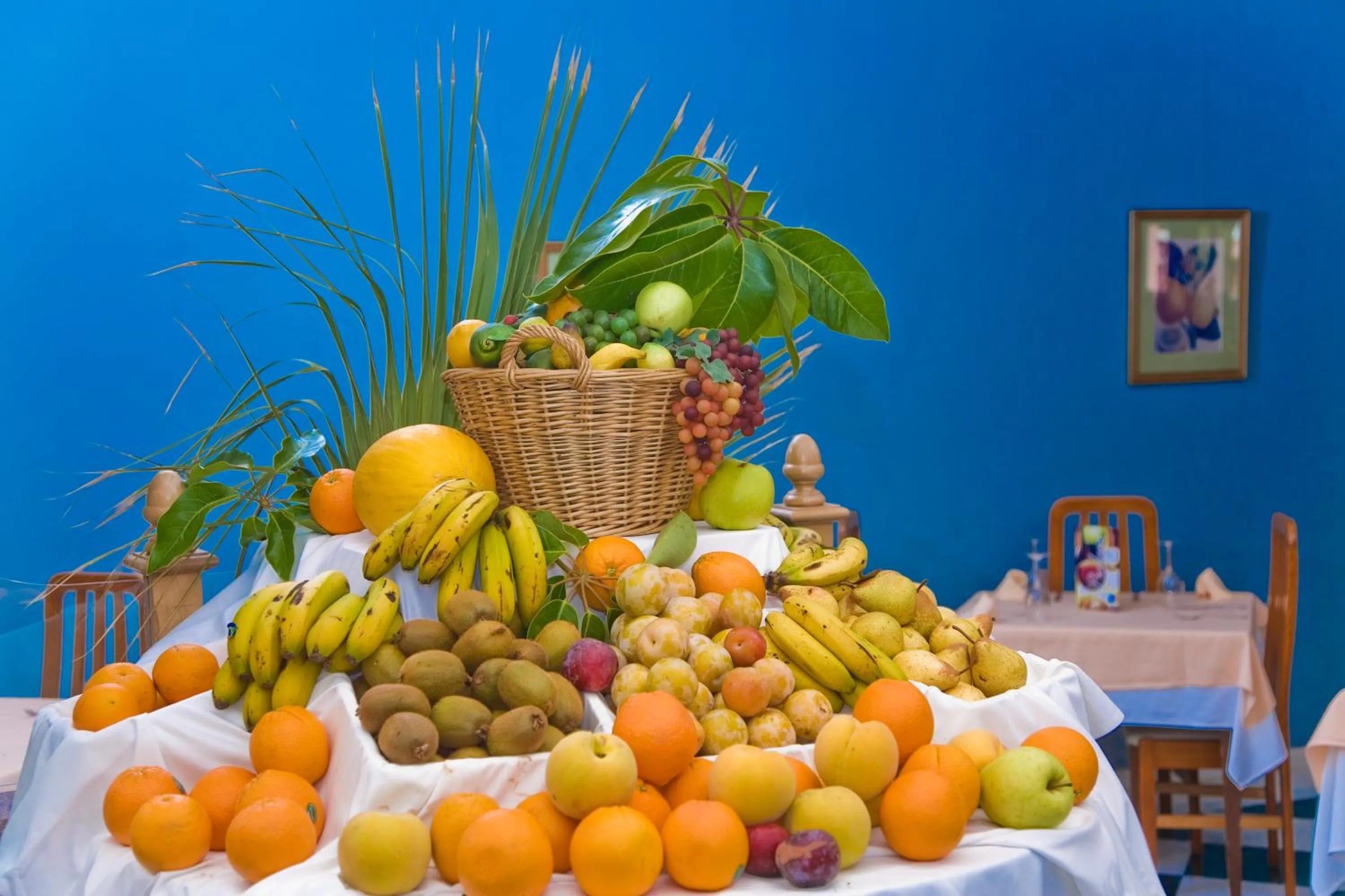 Breakfast in Diver Roquetas