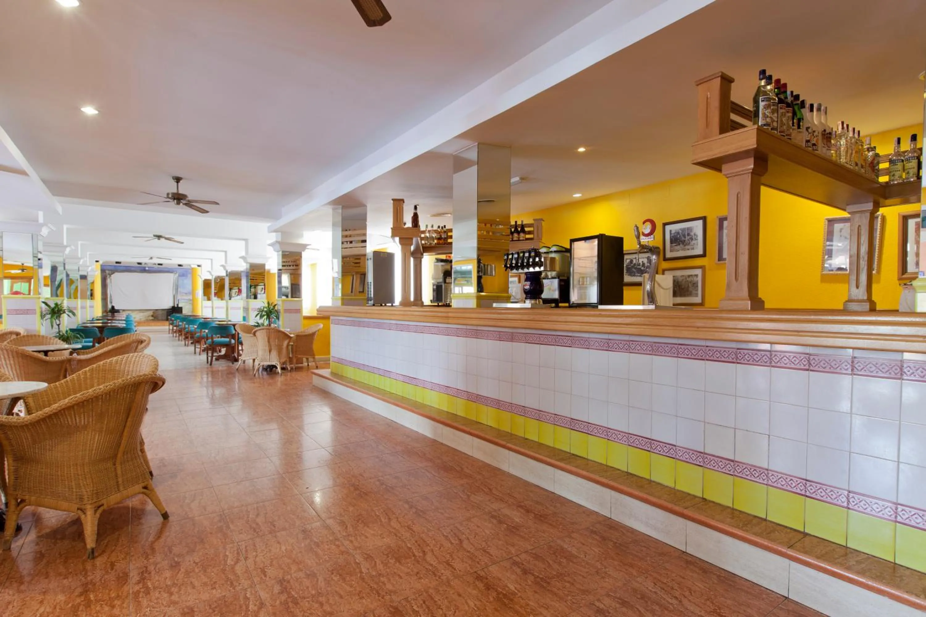 Restaurant/places to eat in Diver Roquetas