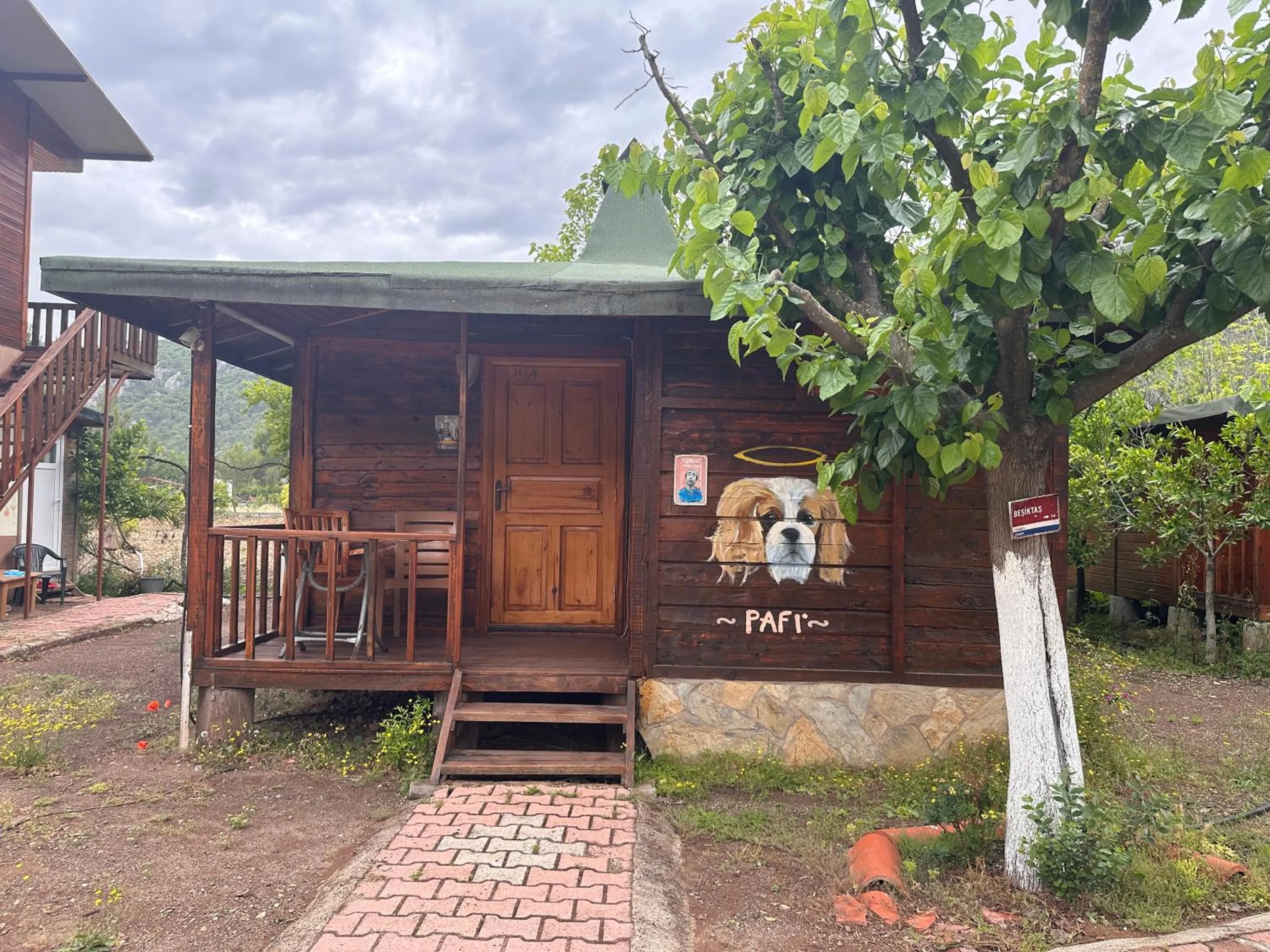 Photo of the whole room in Likya Yanartaş Bungalow