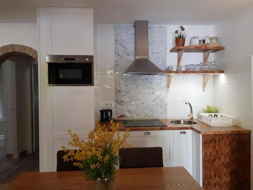 Kitchen or kitchenette in MR Hotelet de la Raconà & Apartments