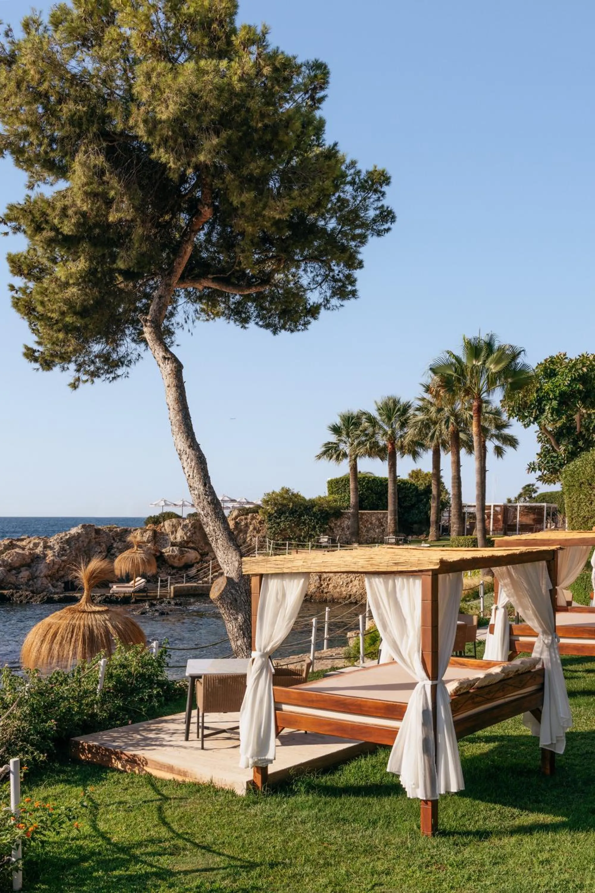 Garden in Hotel de Mar Gran Meliá - Adults Only - The Leading Hotels of the World