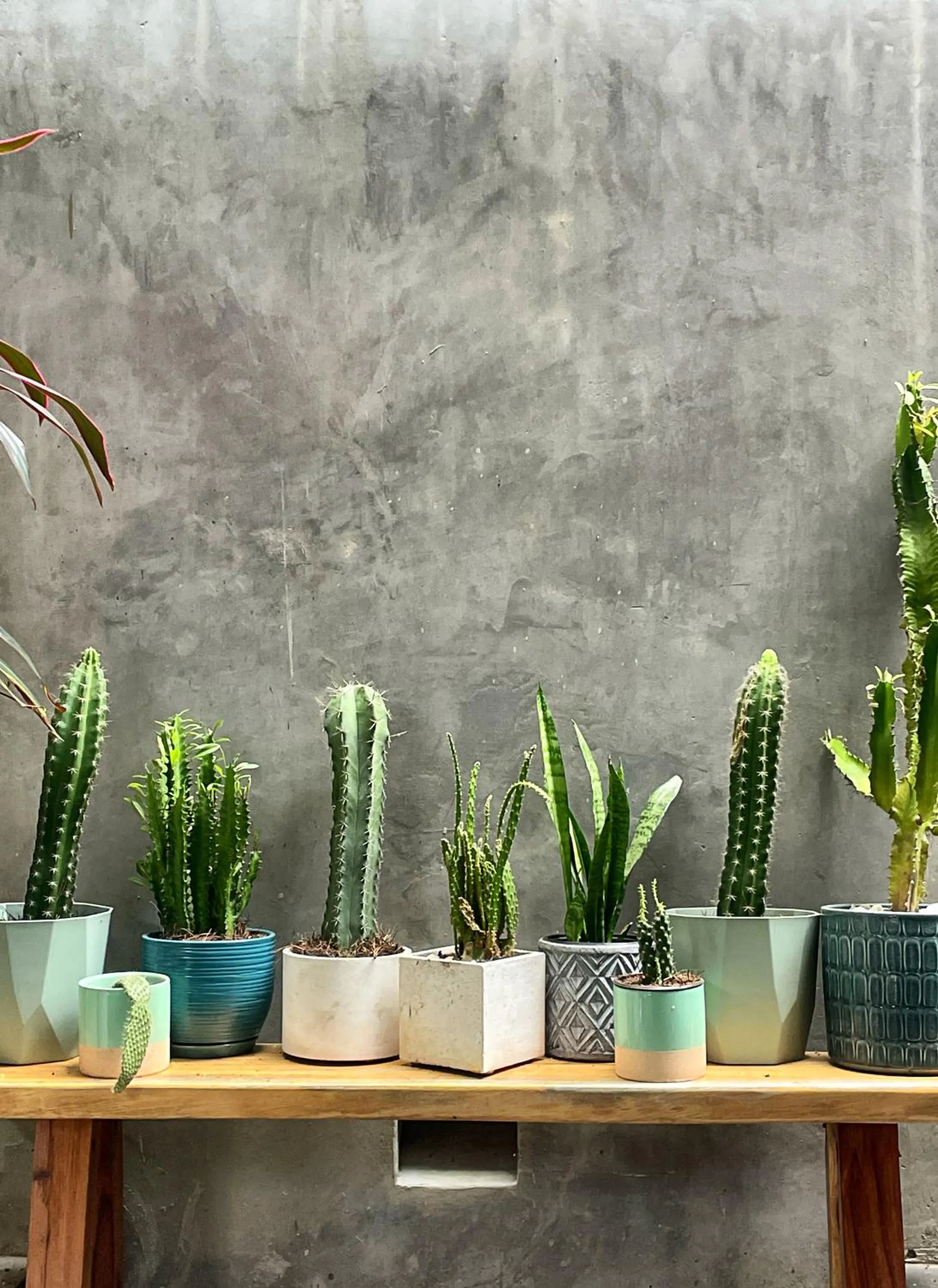 Property building in LOTE4 - LGBTQ Studios