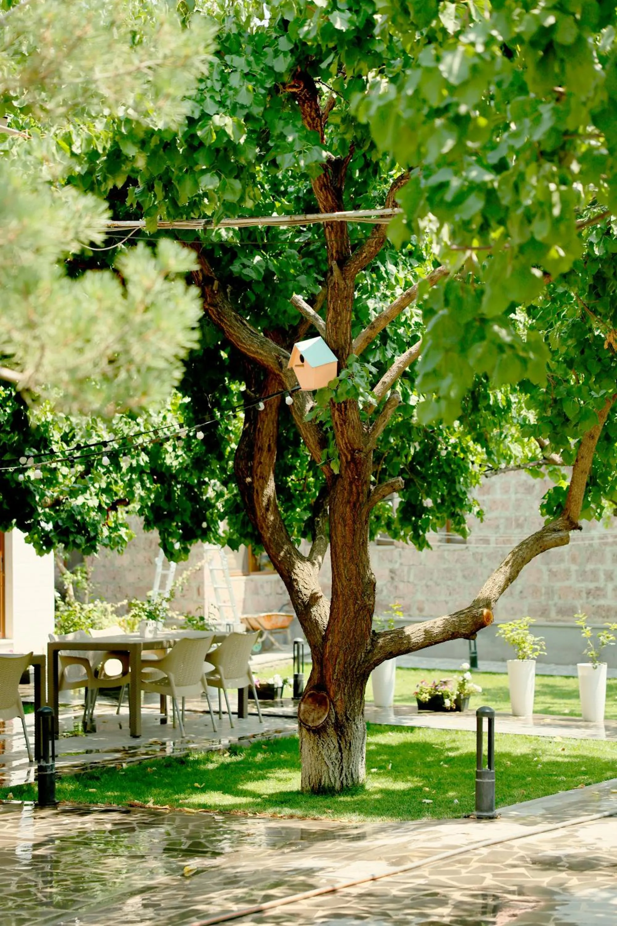 Garden in MarNar Hotel
