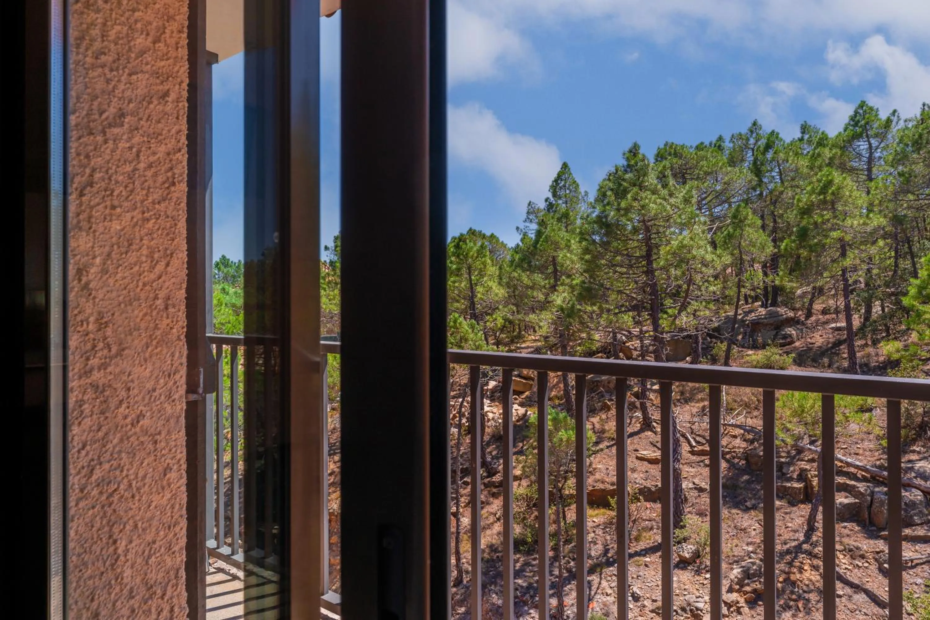 View (from property/room) in Hotel Mora