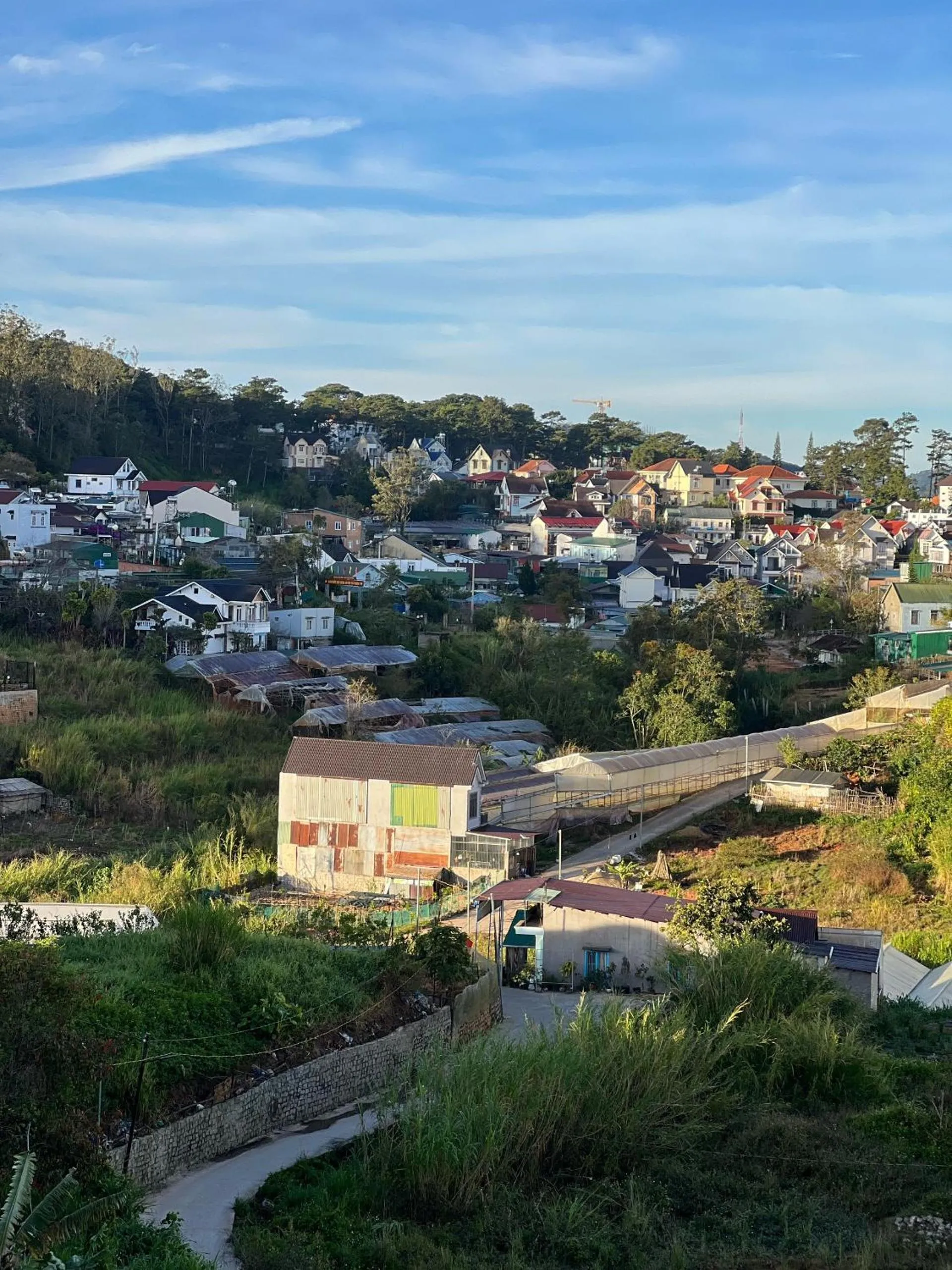 View (from property/room) in Adela Hotel Dalat