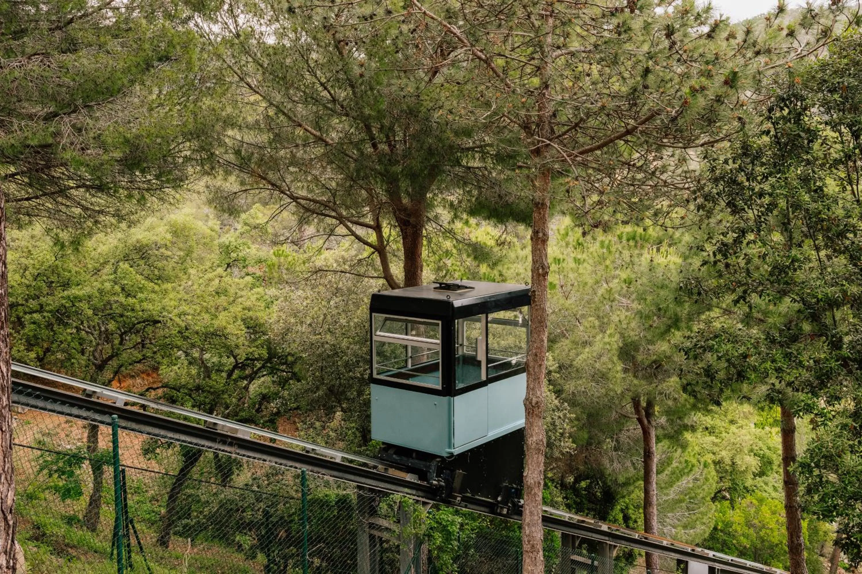 Entertainment in Pola Giverola Resort