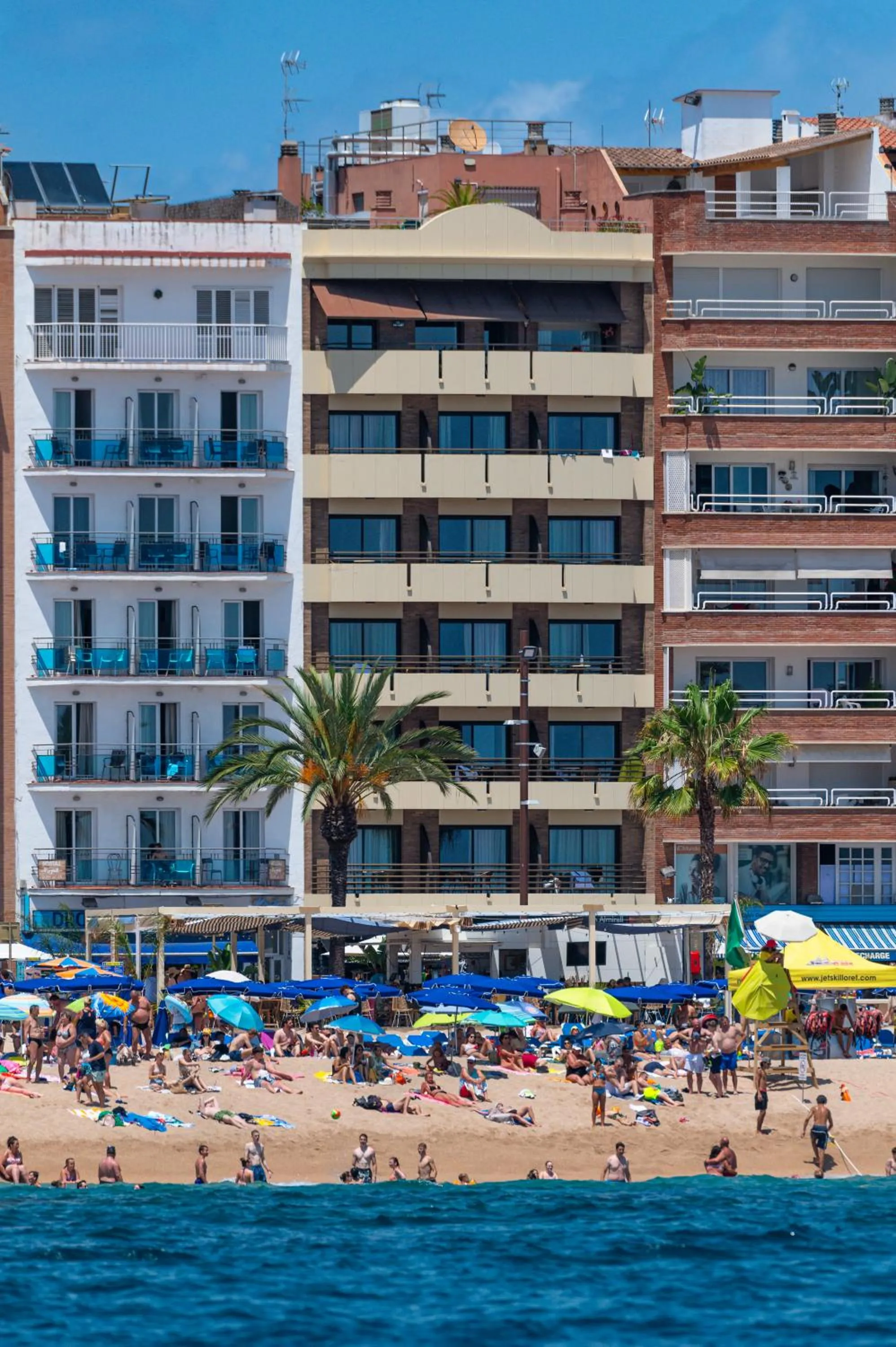 Property building in Almirall Apartaments