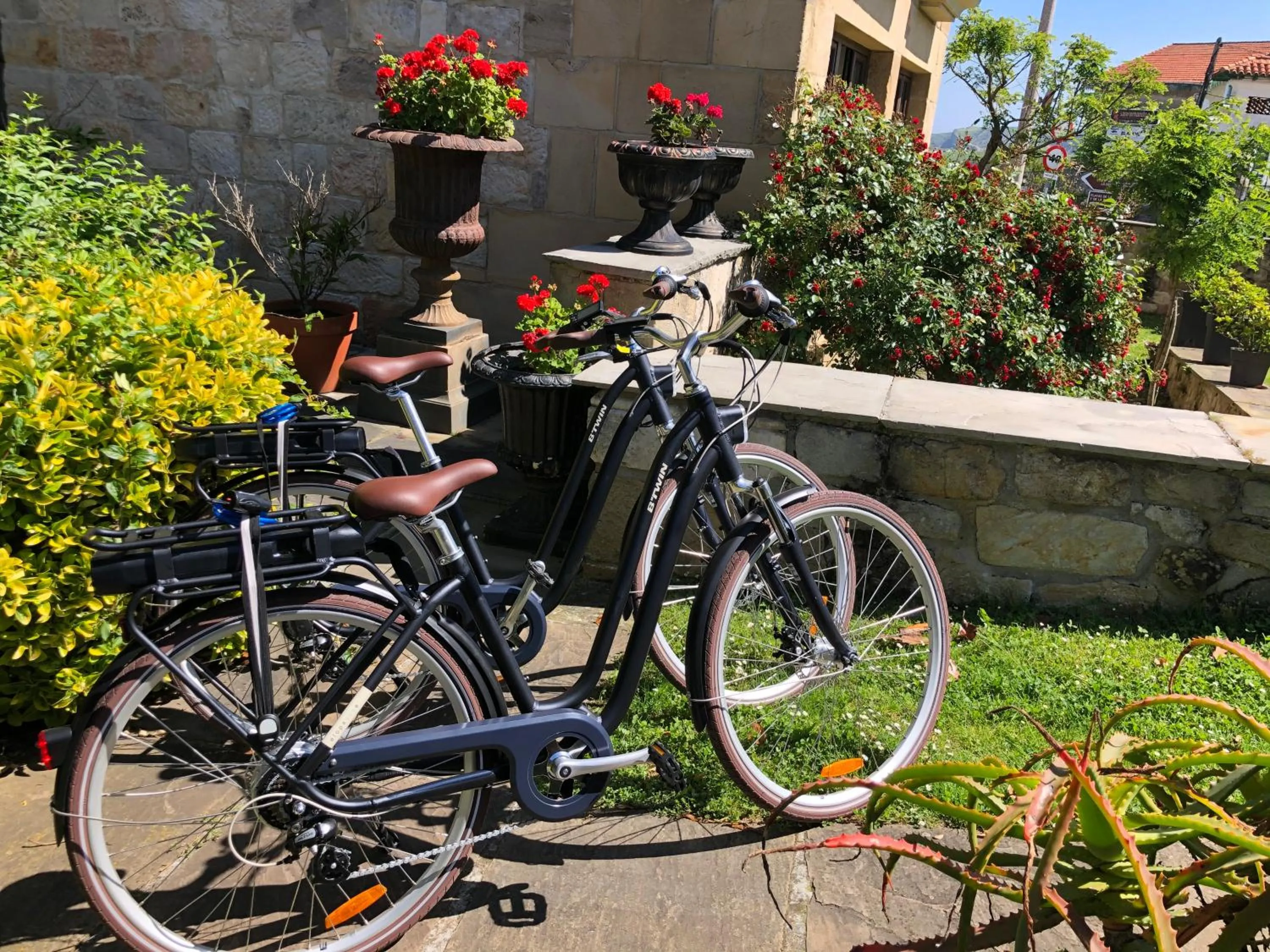 Activities in Apartamentos Costa Esmeralda