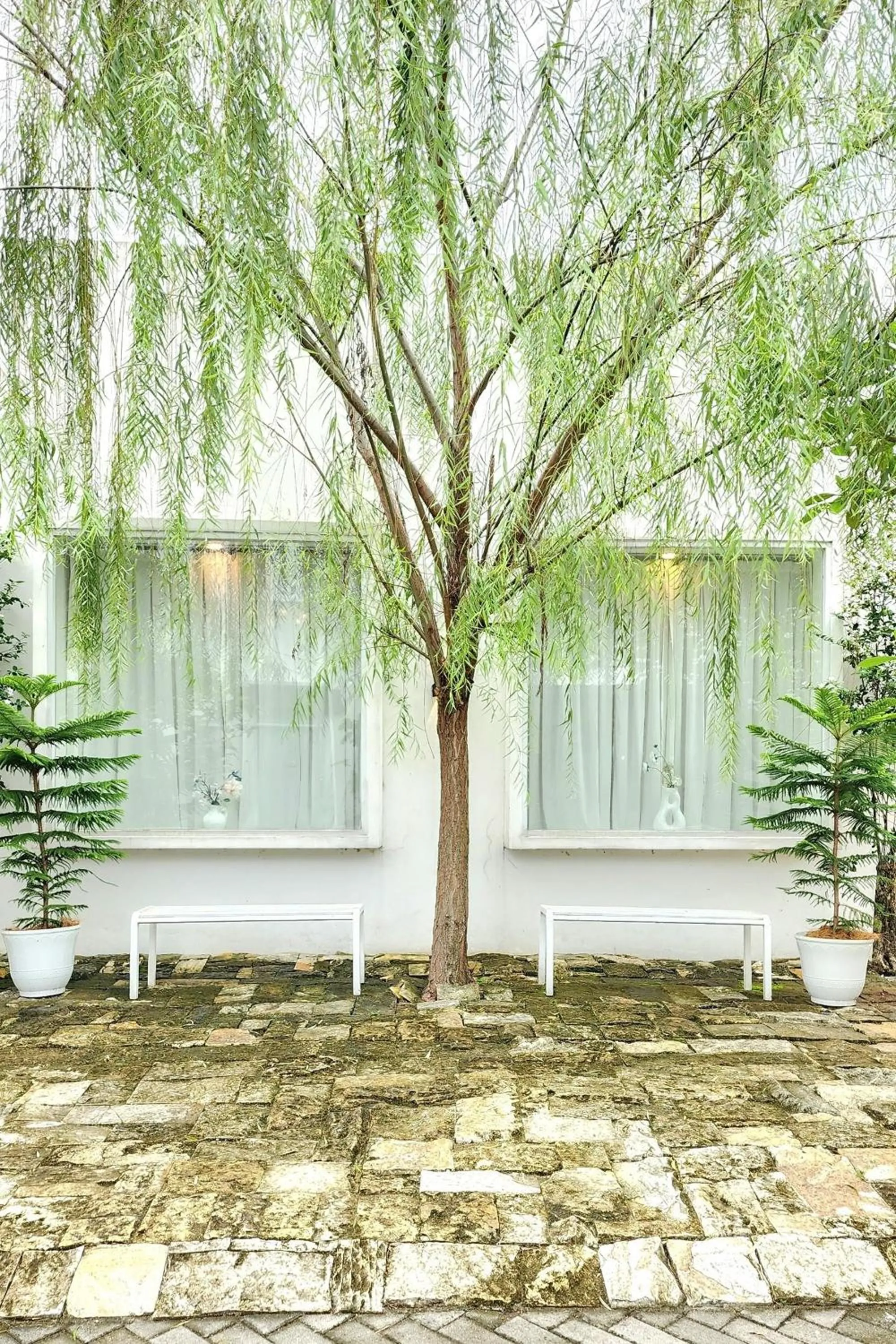 Garden in Floraison Living Villa Yogyakarta