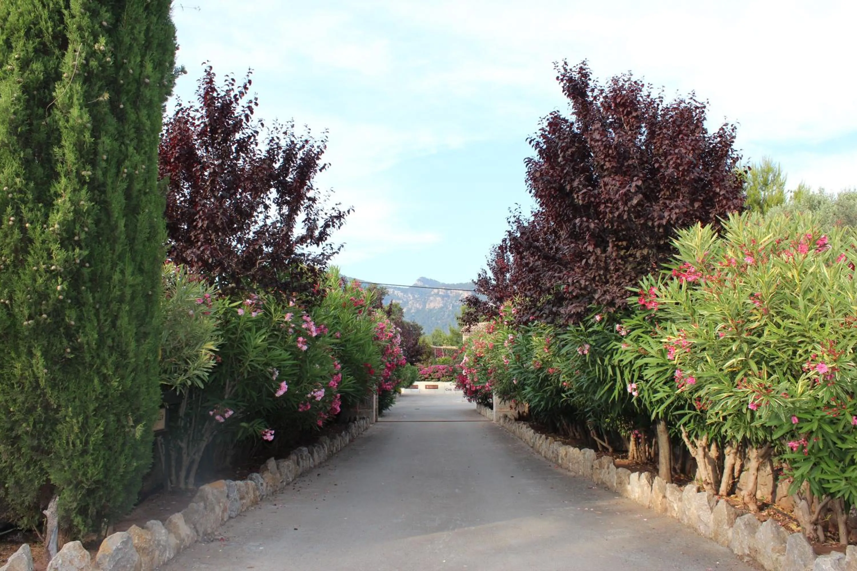 Lobby or reception in Ca's Garriguer