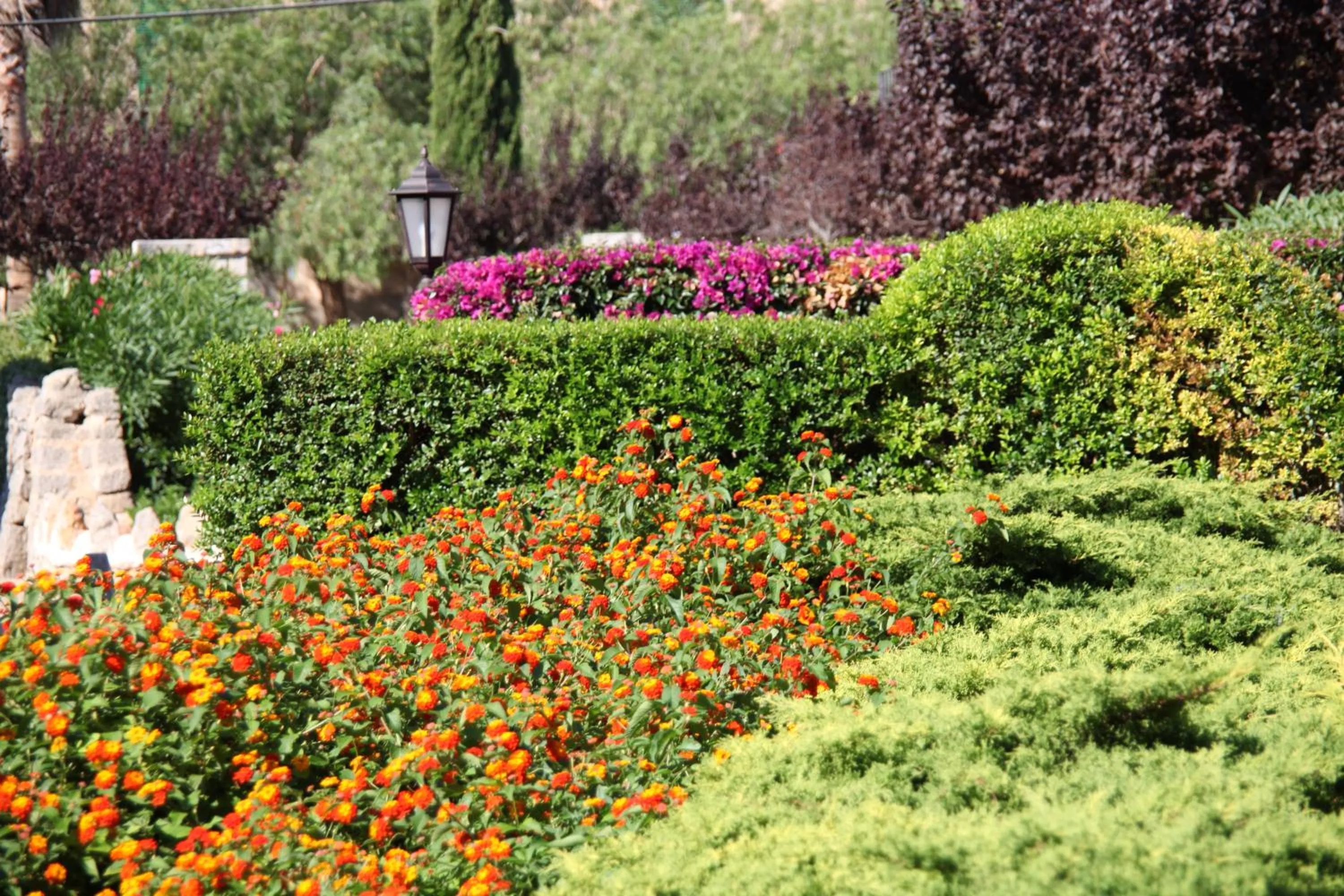 Garden in Ca's Garriguer