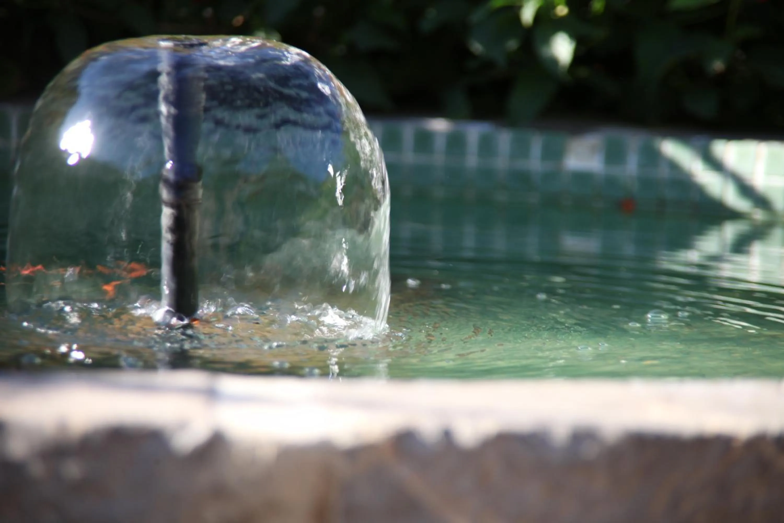 Garden in Ca's Garriguer