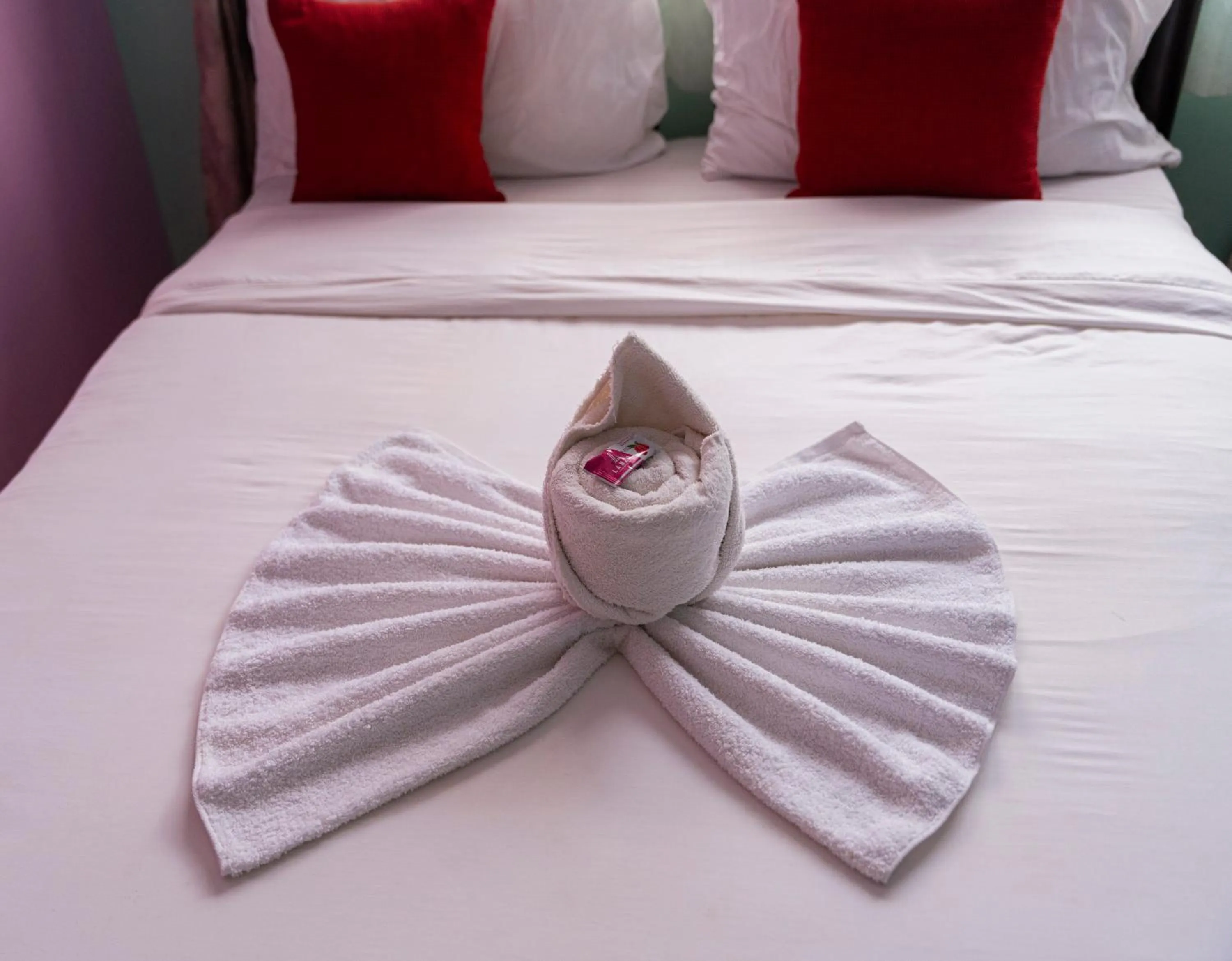 Bed in Safari Park House