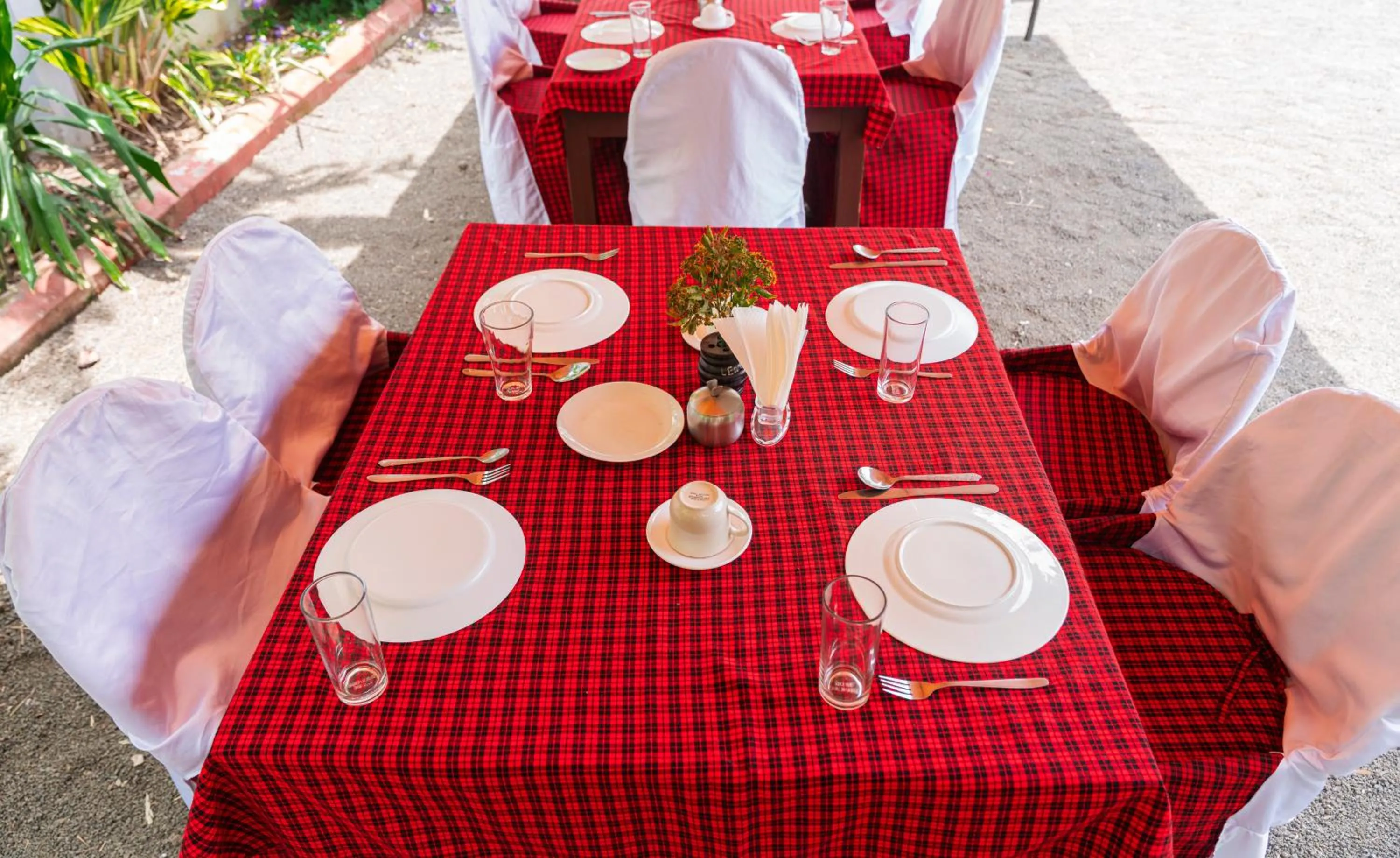 Restaurant/places to eat in Safari Park House