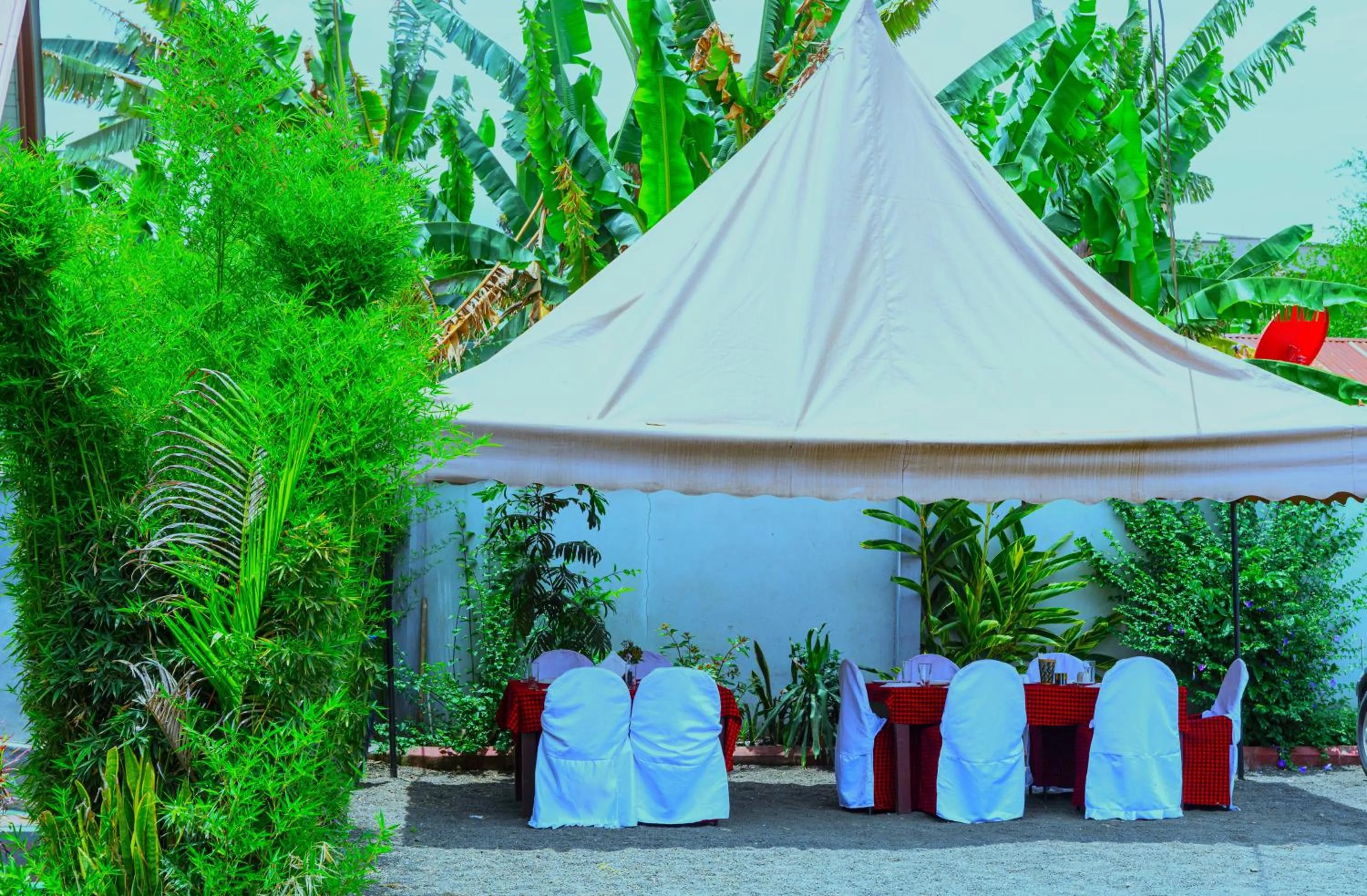 Day in Safari Park House