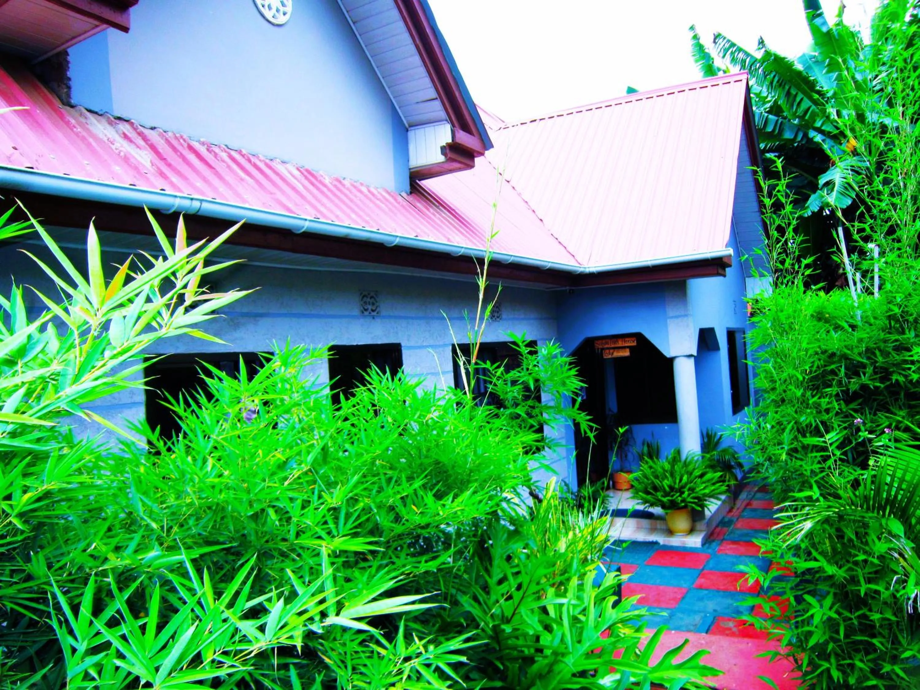 Property building in Safari Park House