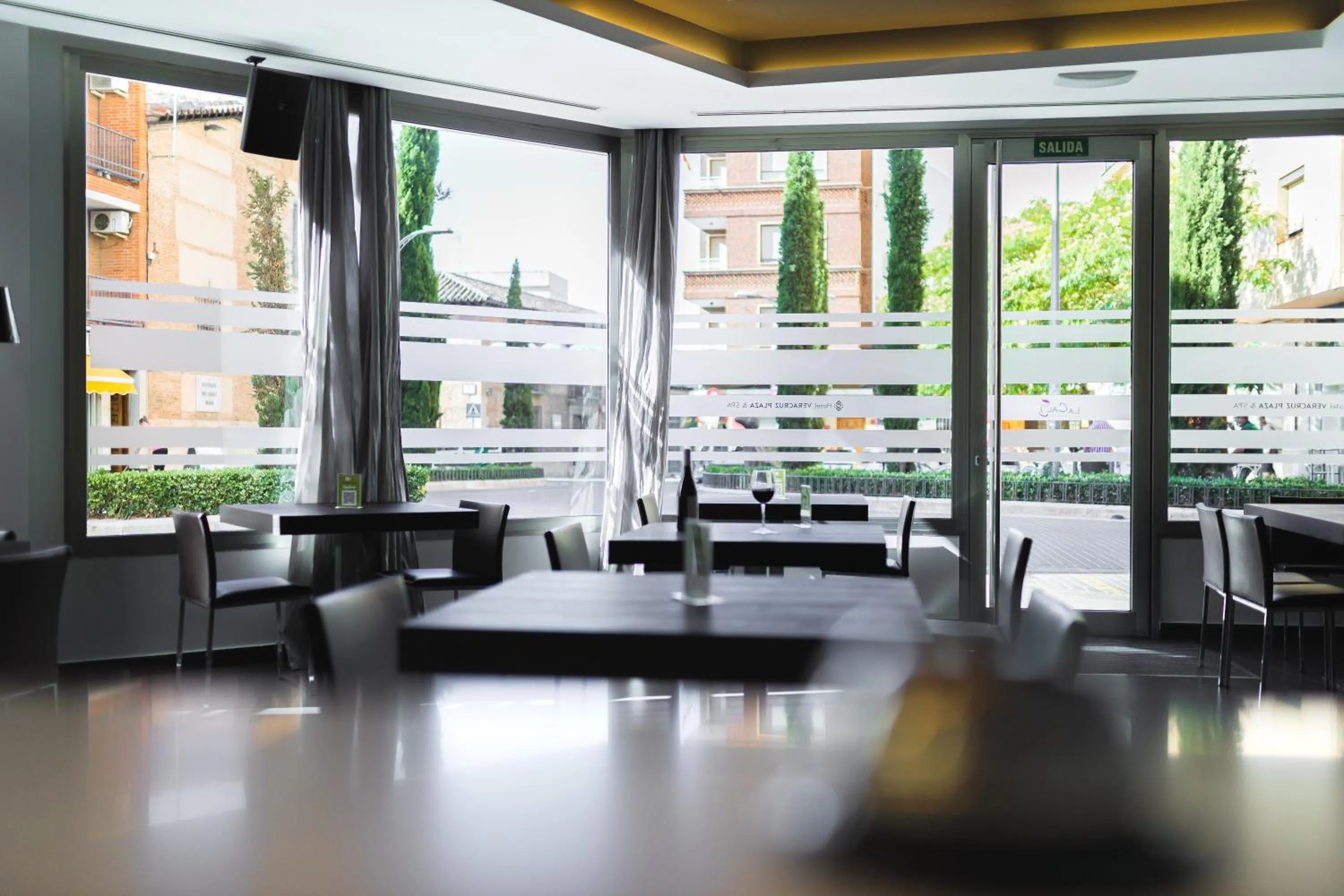 Lounge or bar in Hotel Veracruz Plaza & Spa