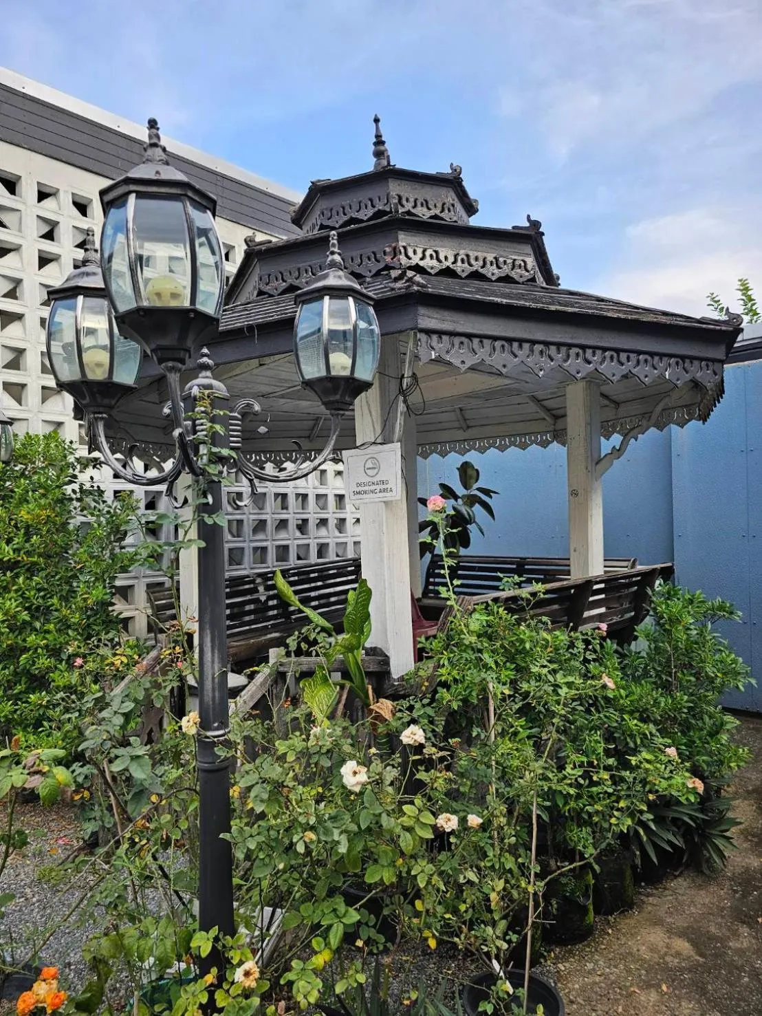 Garden in Mercy Hostel