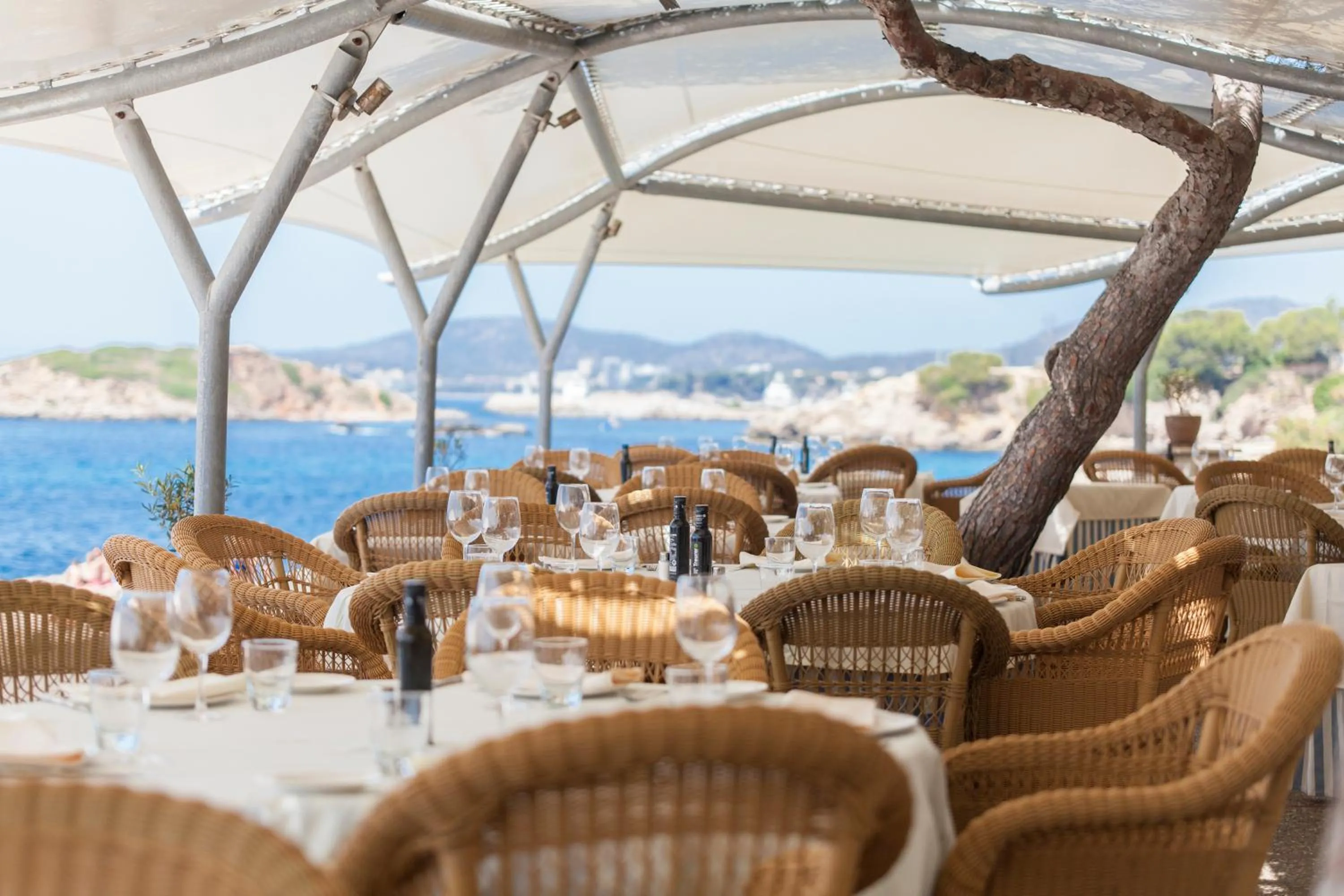 Restaurant/places to eat in Hotel Bendinat