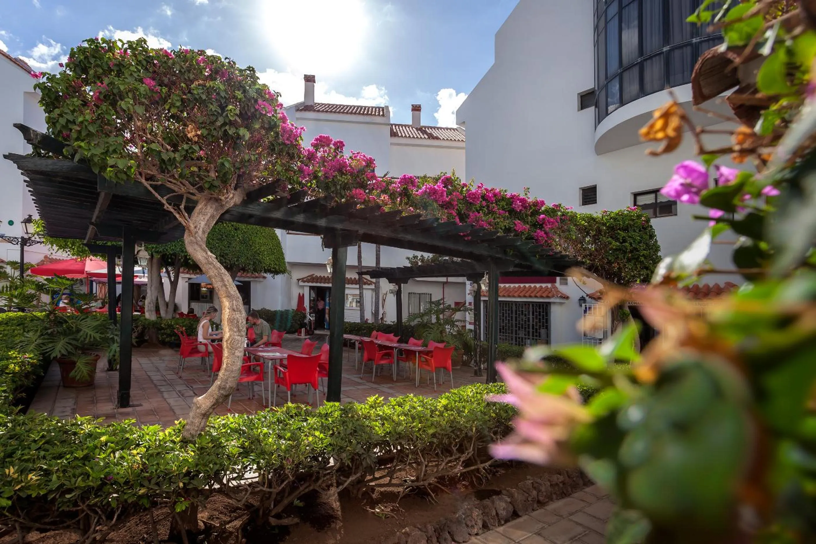 Food and drinks in Apartamentos HG Cristian Sur