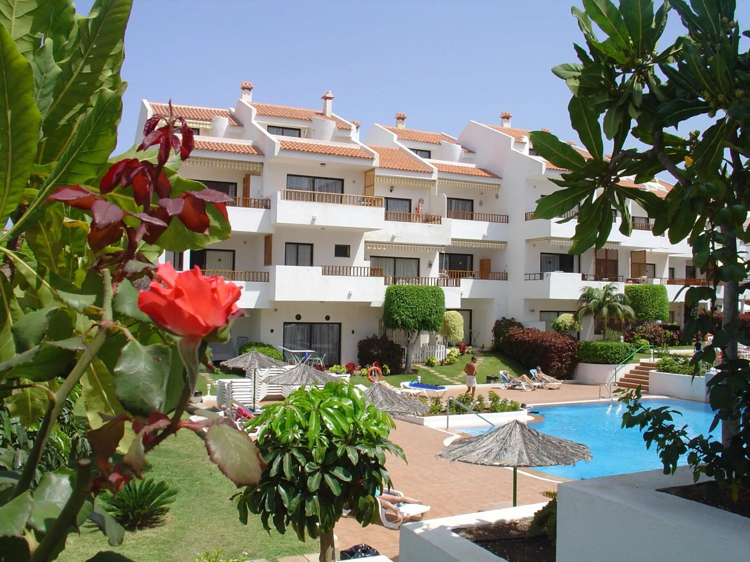 Swimming pool in Apartamentos HG Cristian Sur