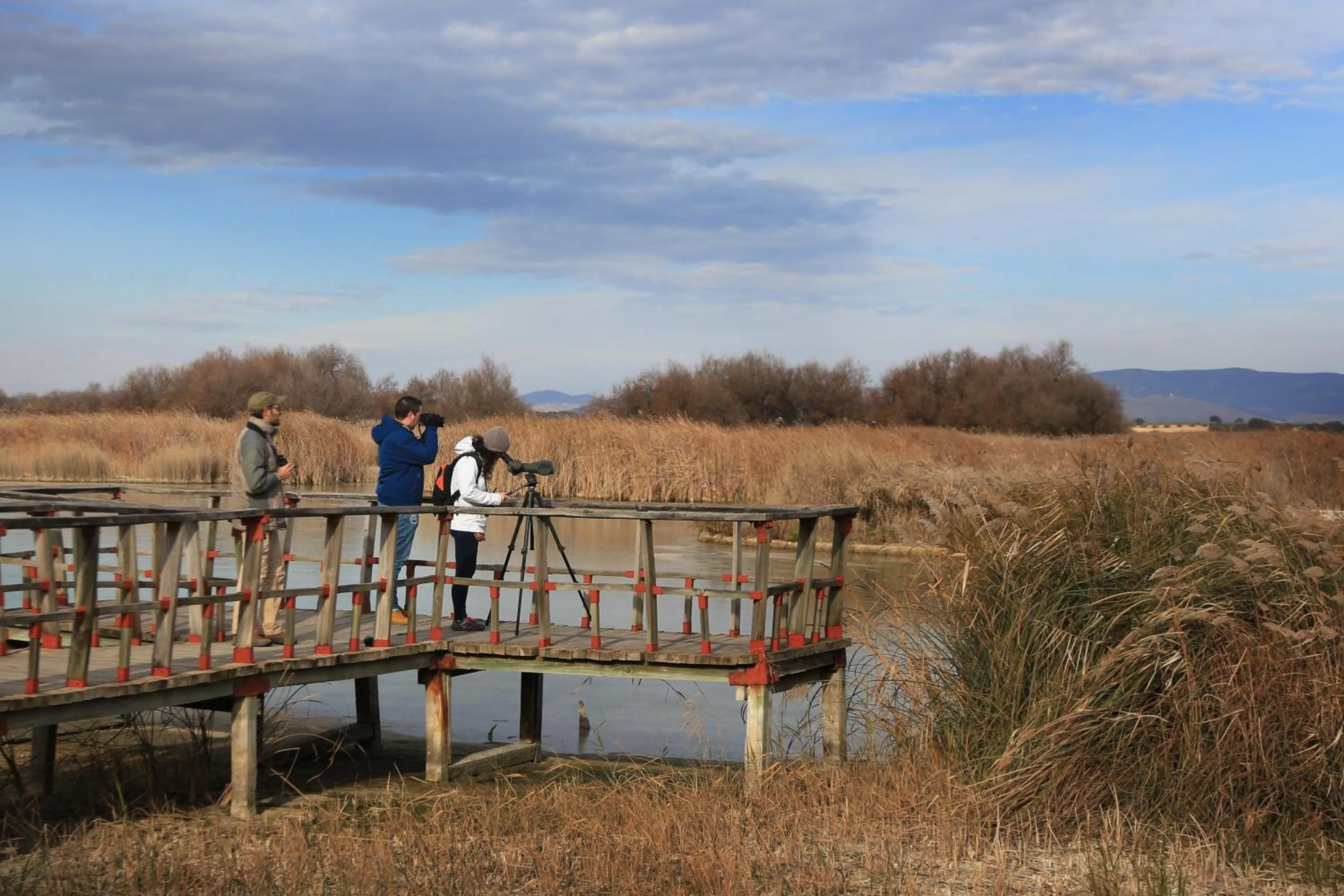 Activities in Hotel Doña Manuela