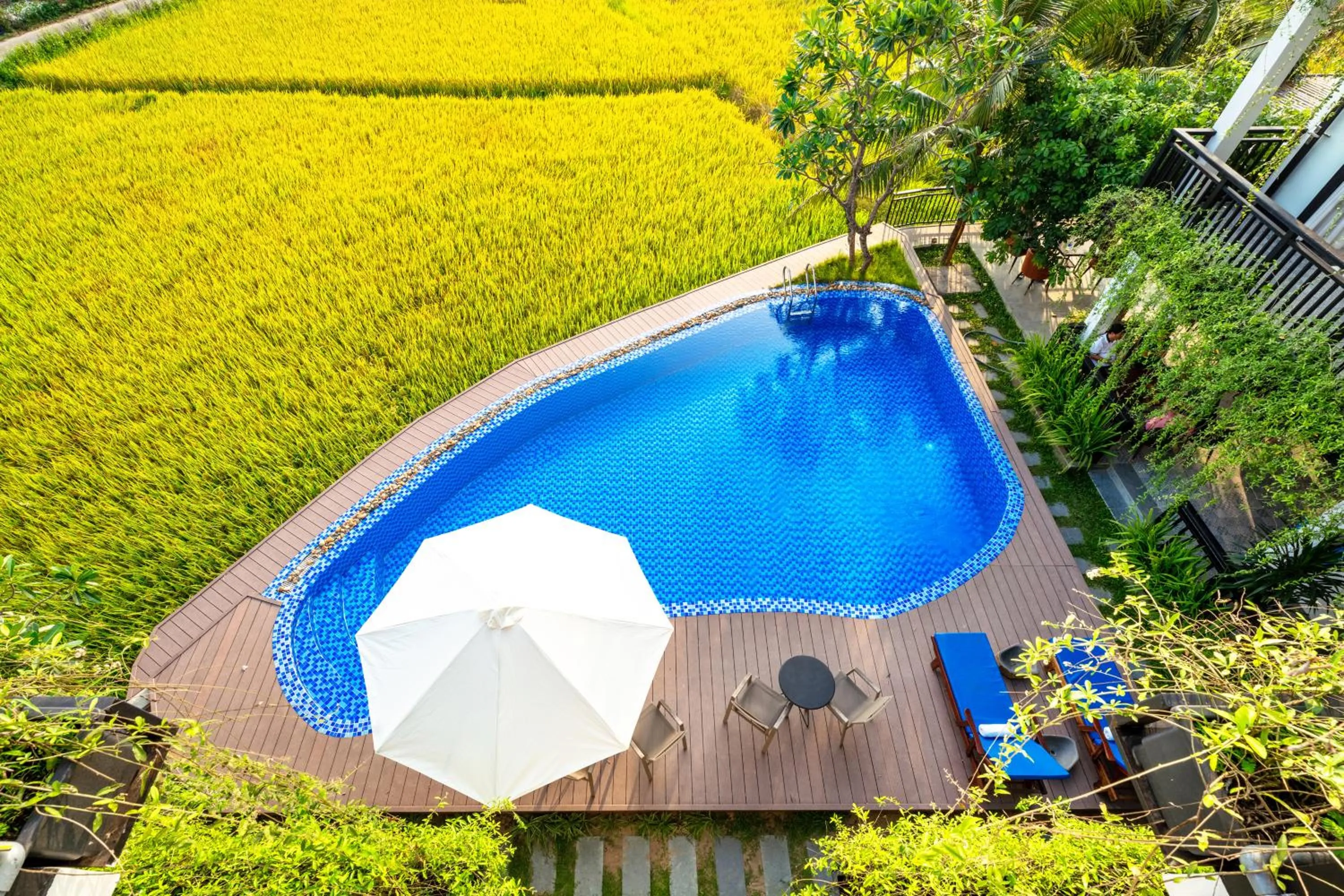 Day in Sunkised Paddy Hoi An Villa