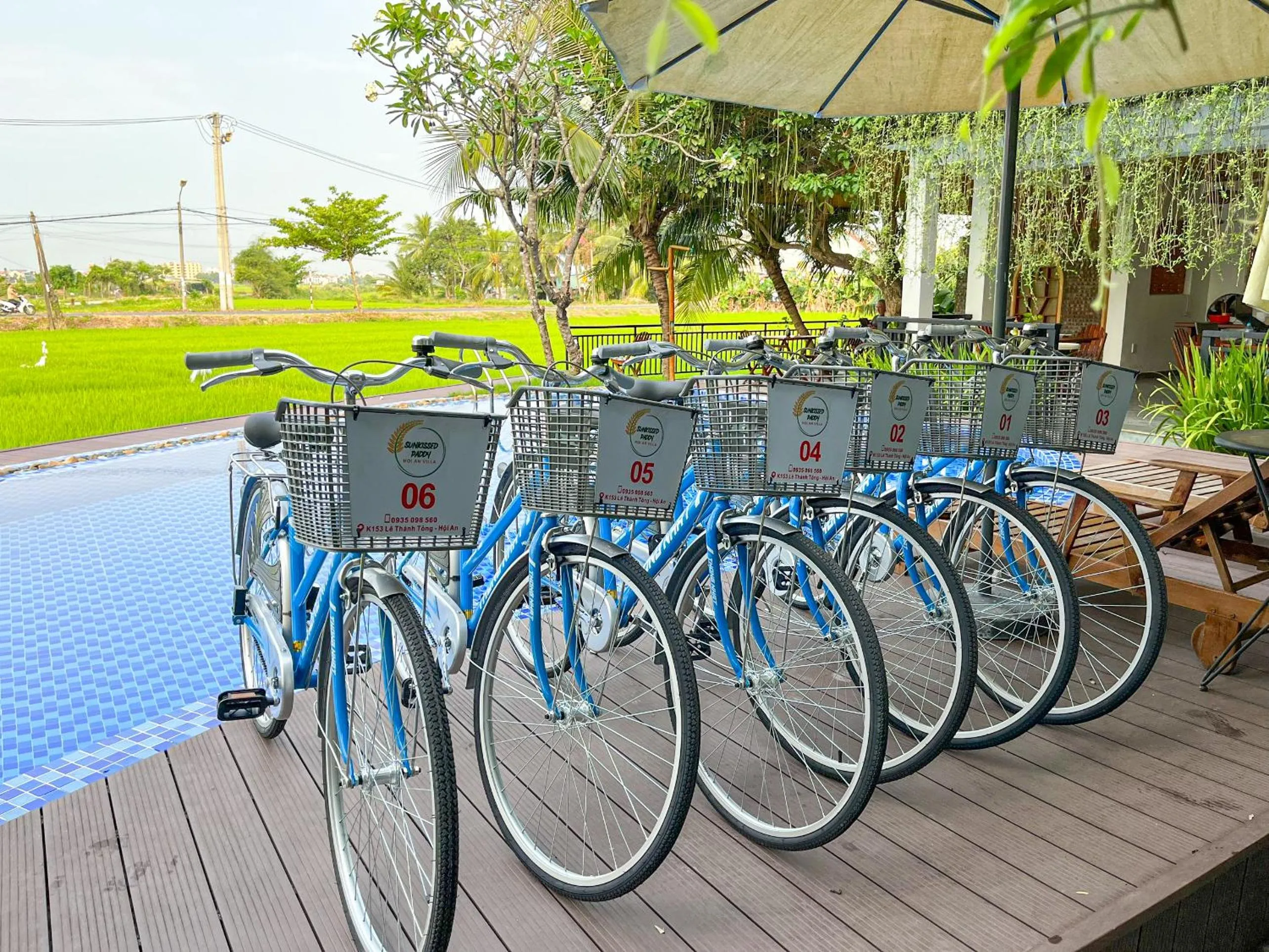 Cycling in Sunkised Paddy Hoi An Villa