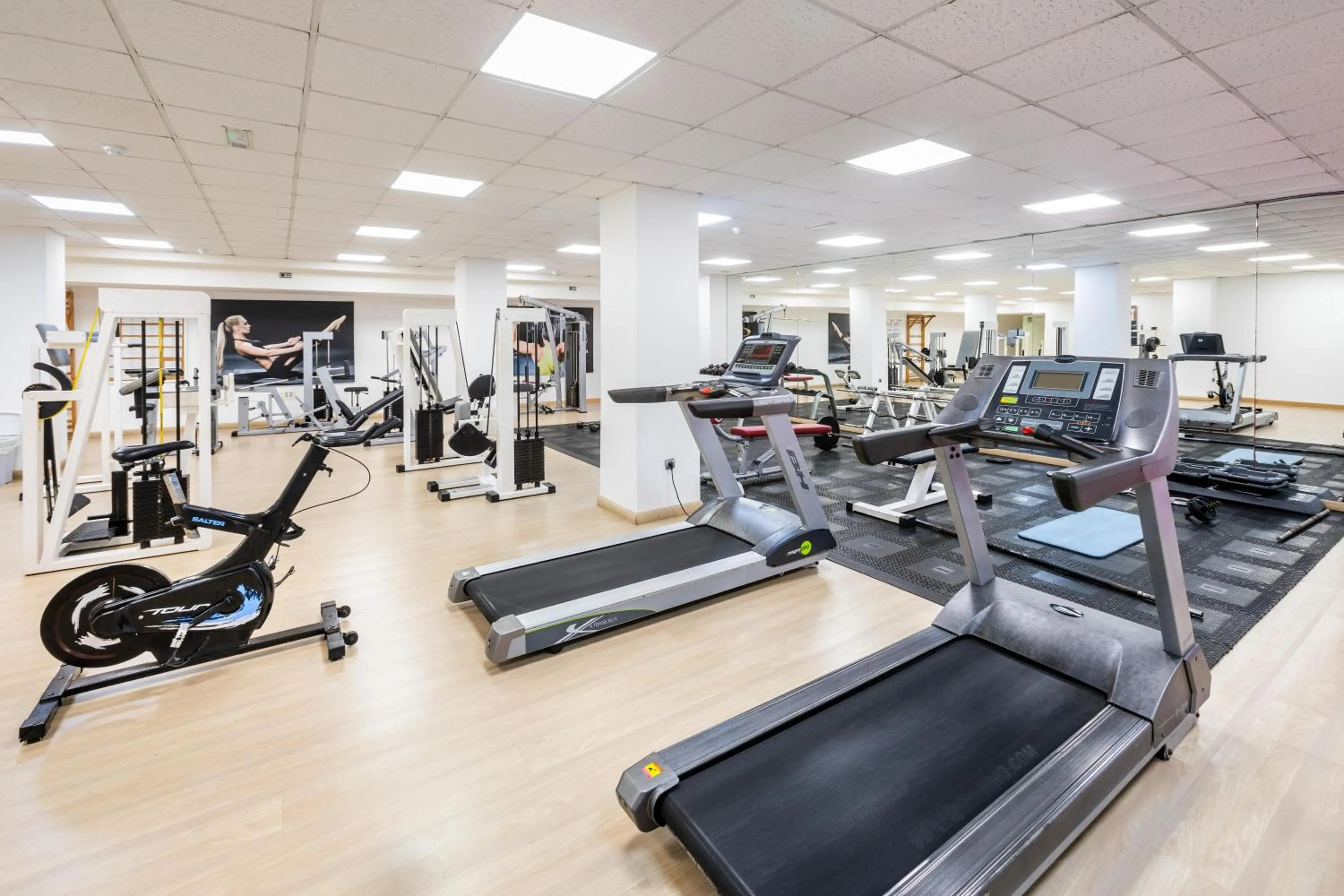 Activities in Alexandre Gala