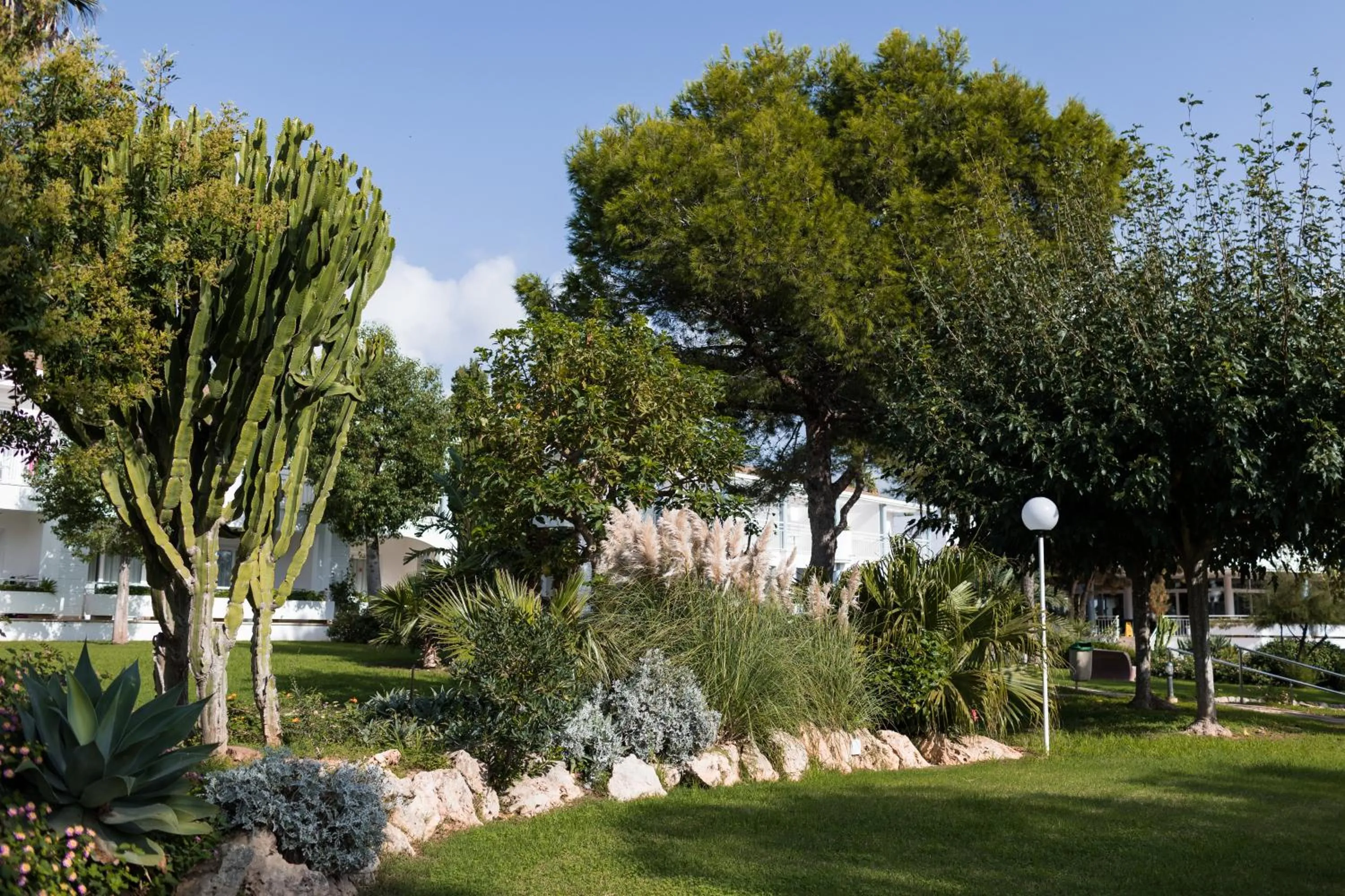 Garden in Sagitario Princesa Playa