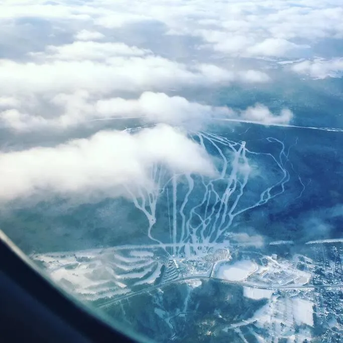 Bird's eye view in Initial / Solden / MSA