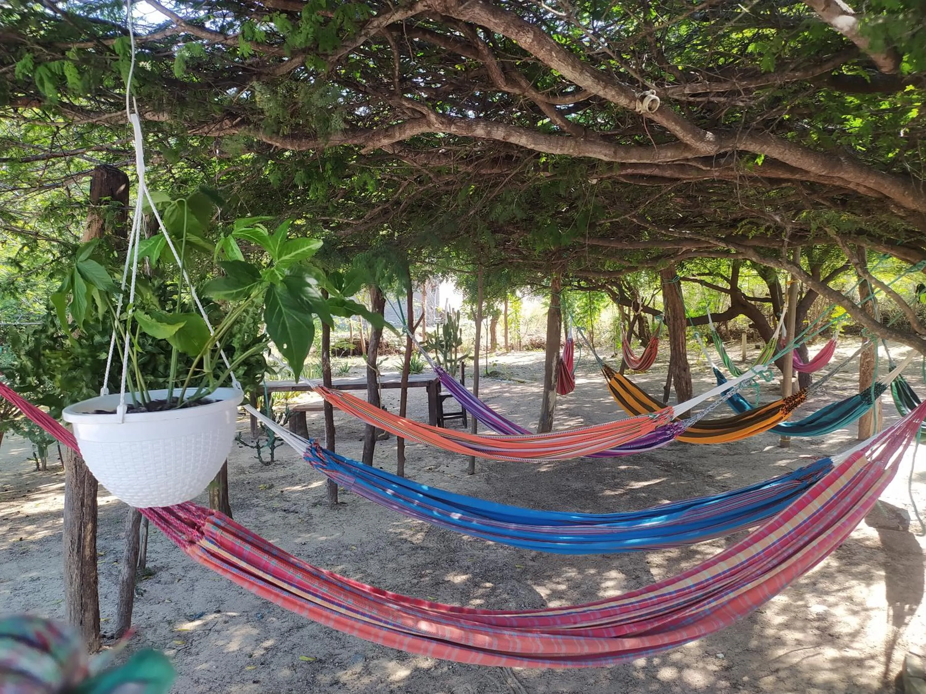 Hotel flamencamarones