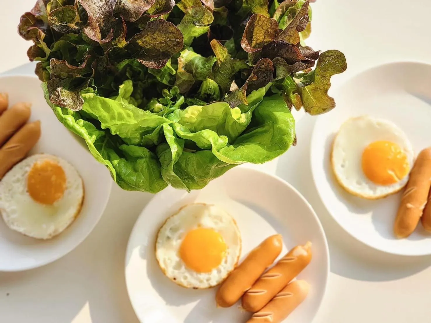 Breakfast in Serene Khaokho