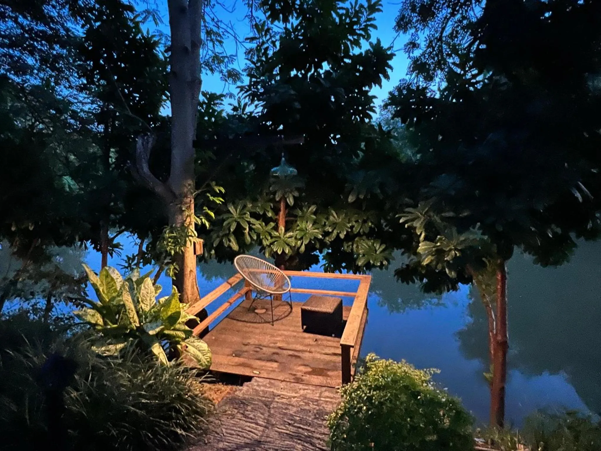 Garden in Home of Dusita